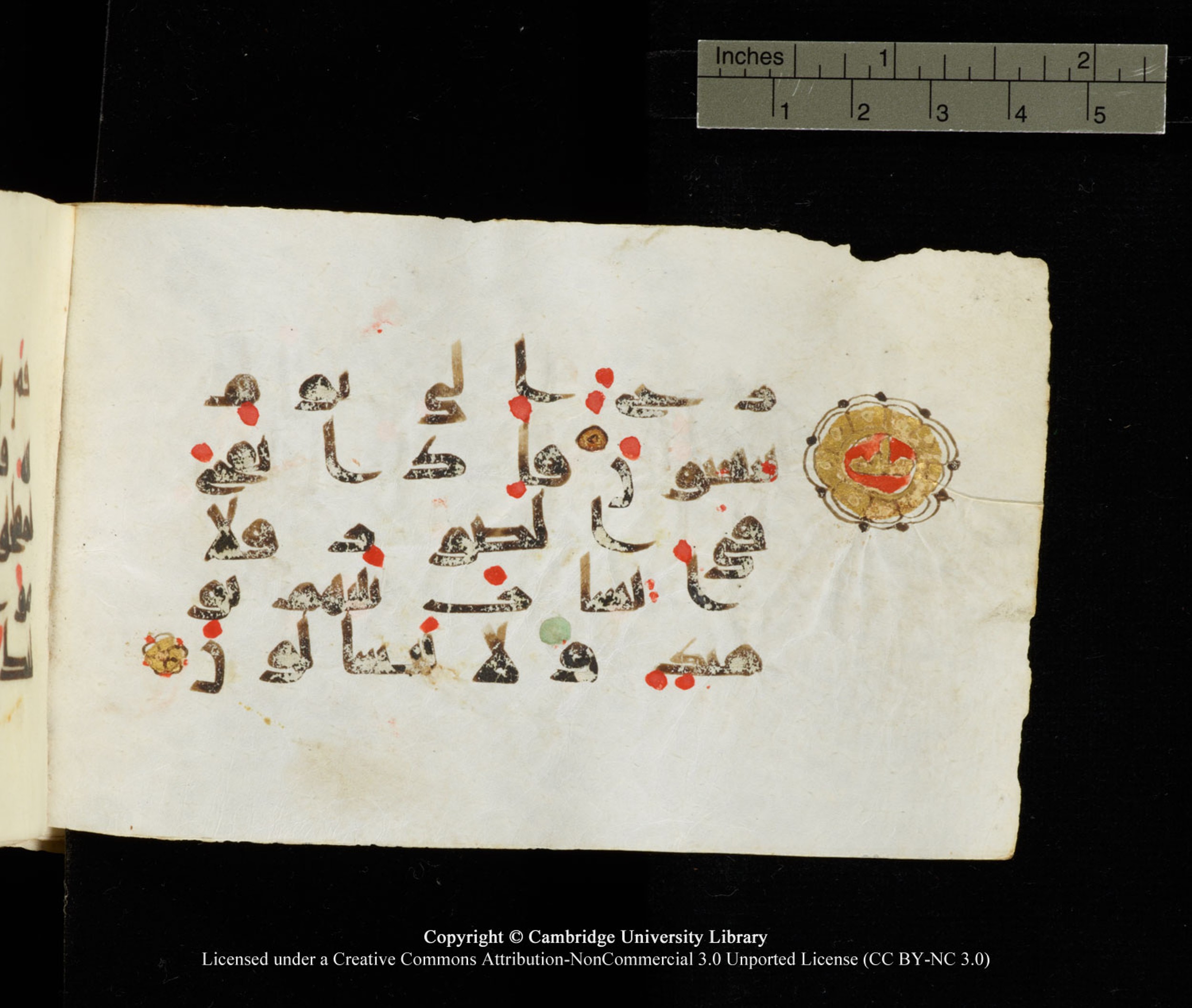 Cambridge University Library MS Add.1138, in kūfī D.Va script, showing Surah 23:101 from 9th to 10th Century AD found in Sinai Peninsula, currently housed at Cambridge University Library, Cambridge