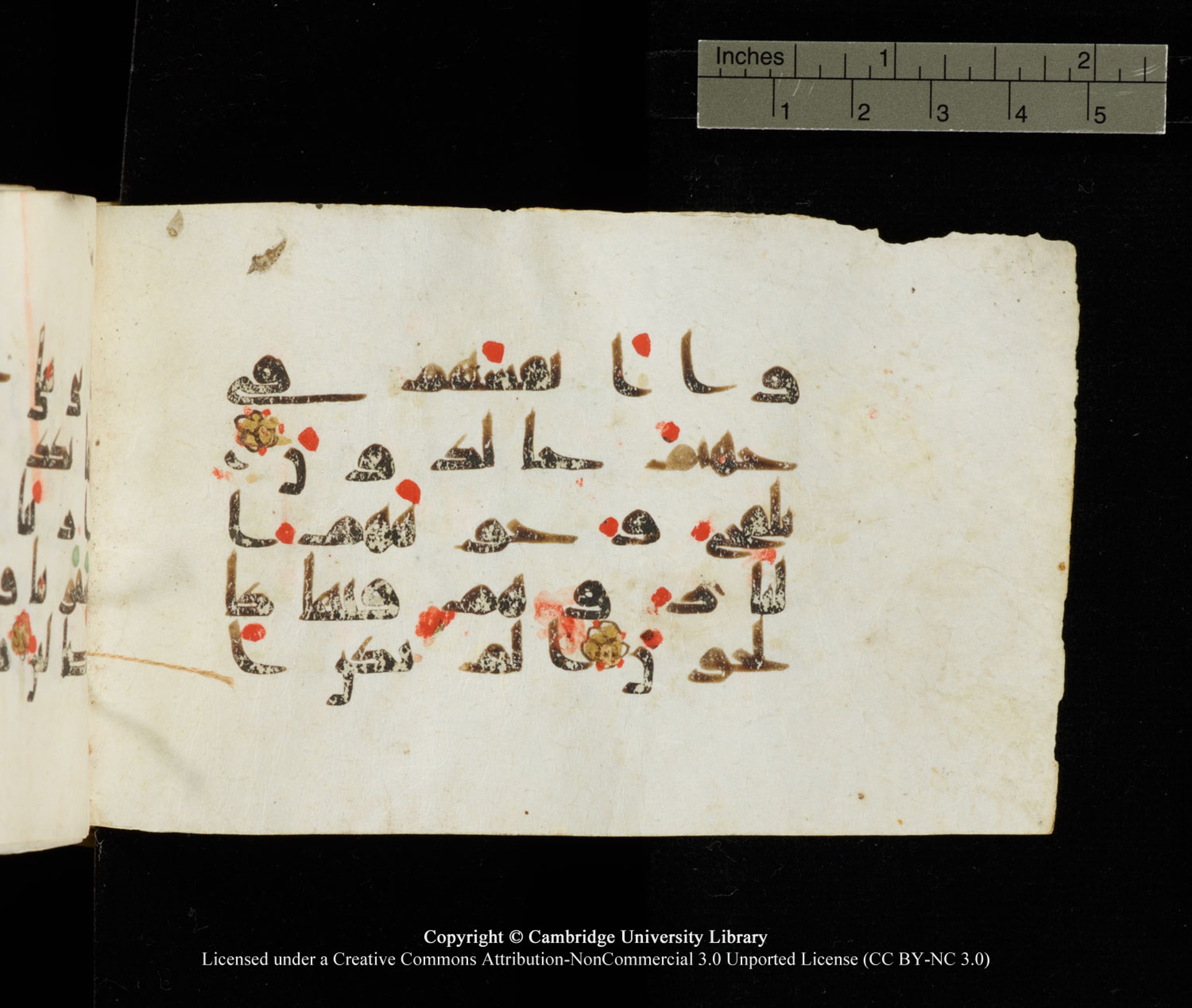 Cambridge University Library MS Add.1138, in kūfī D.Va script, showing Surah 23:104 from 9th to 10th Century AD found in Sinai Peninsula, currently housed at Cambridge University Library, Cambridge
