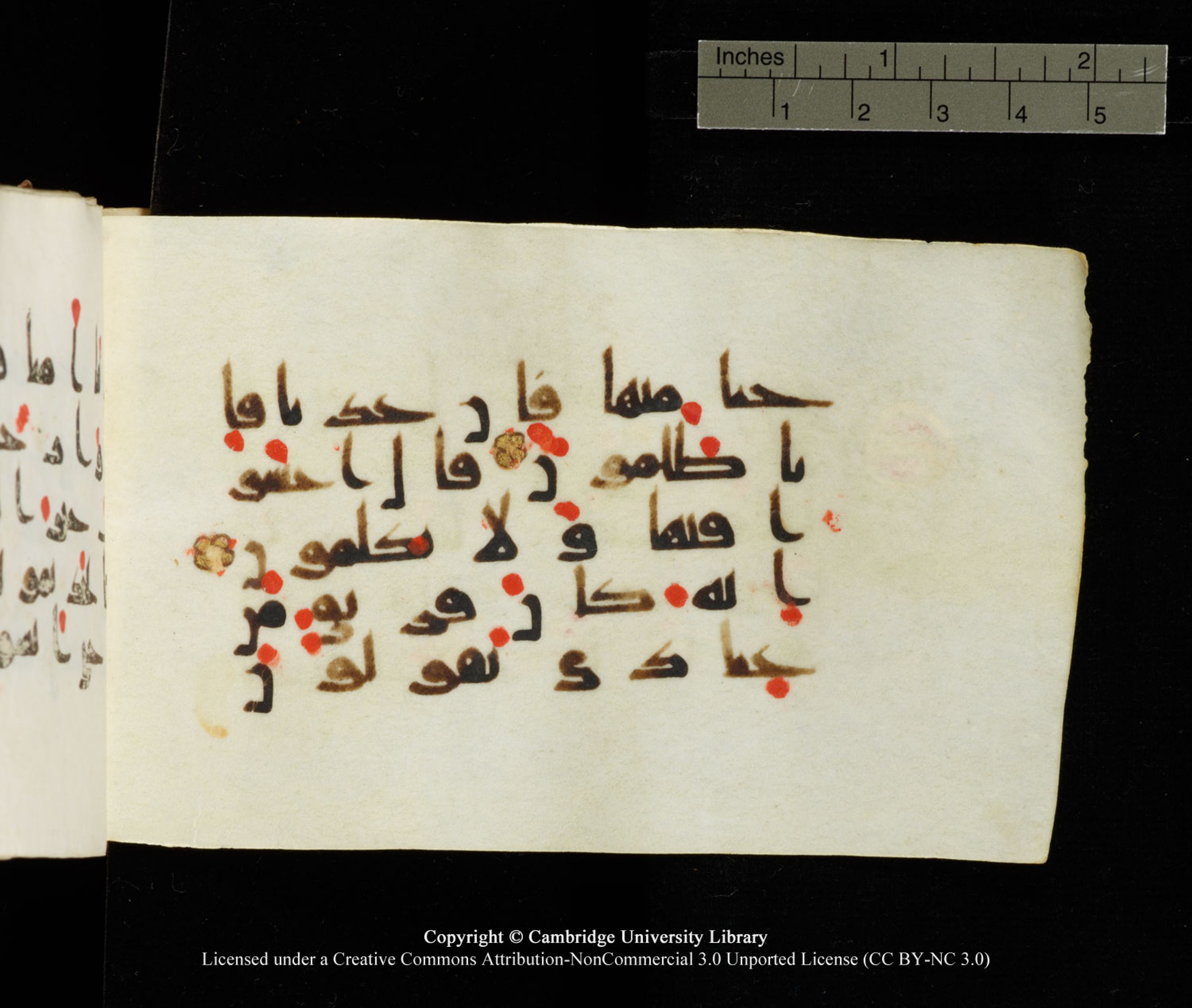 Cambridge University Library MS Add.1138, in kūfī D.Va script, showing Surah 23:108 from 9th to 10th Century AD found in Sinai Peninsula, currently housed at Cambridge University Library, Cambridge
