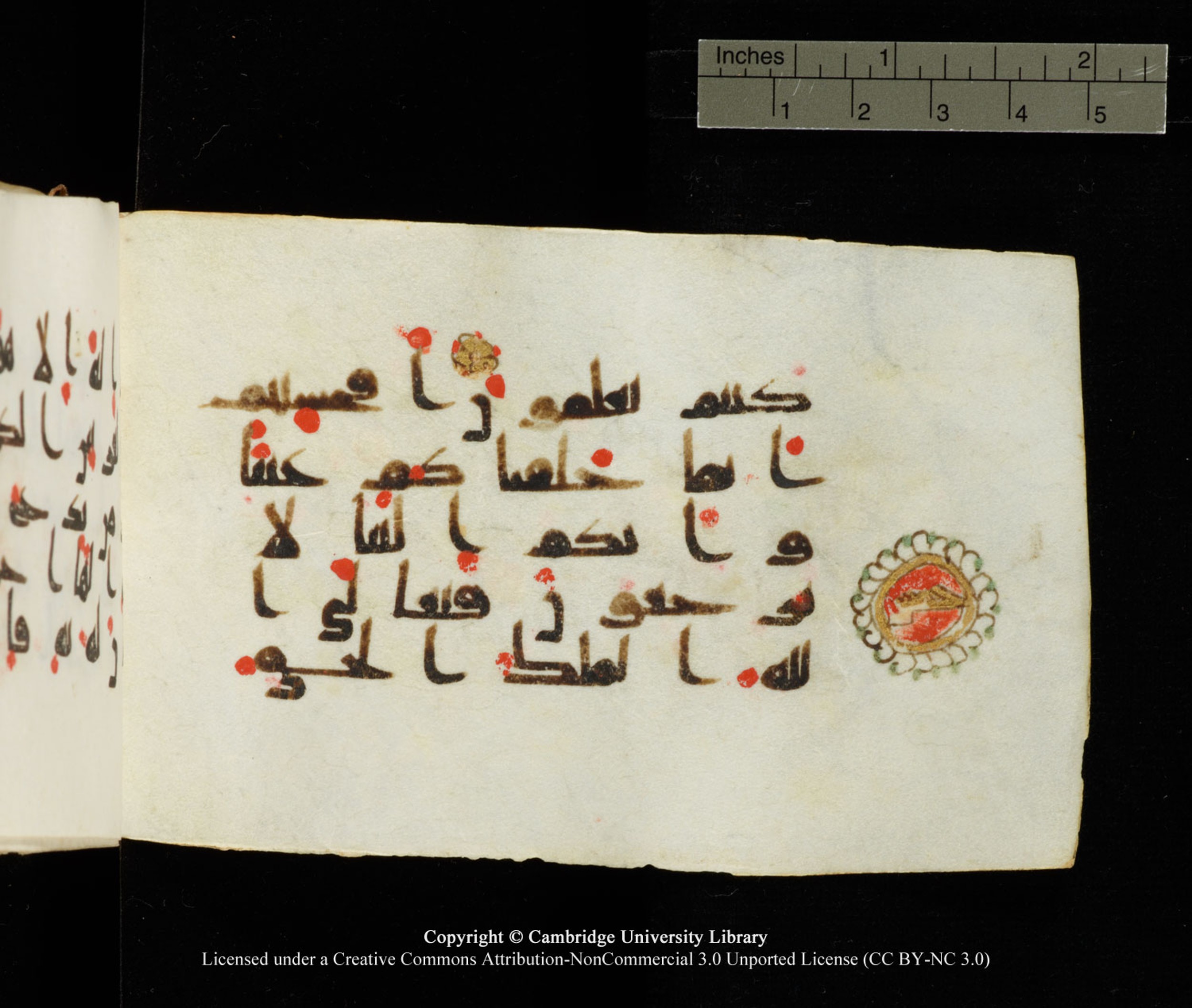 Cambridge University Library MS Add.1138 (Scan 1), in kūfī D.Va script, showing Surah 23:116 from 9th to 10th Century AD found in Sinai Peninsula, currently housed at Cambridge University Library, Cambridge