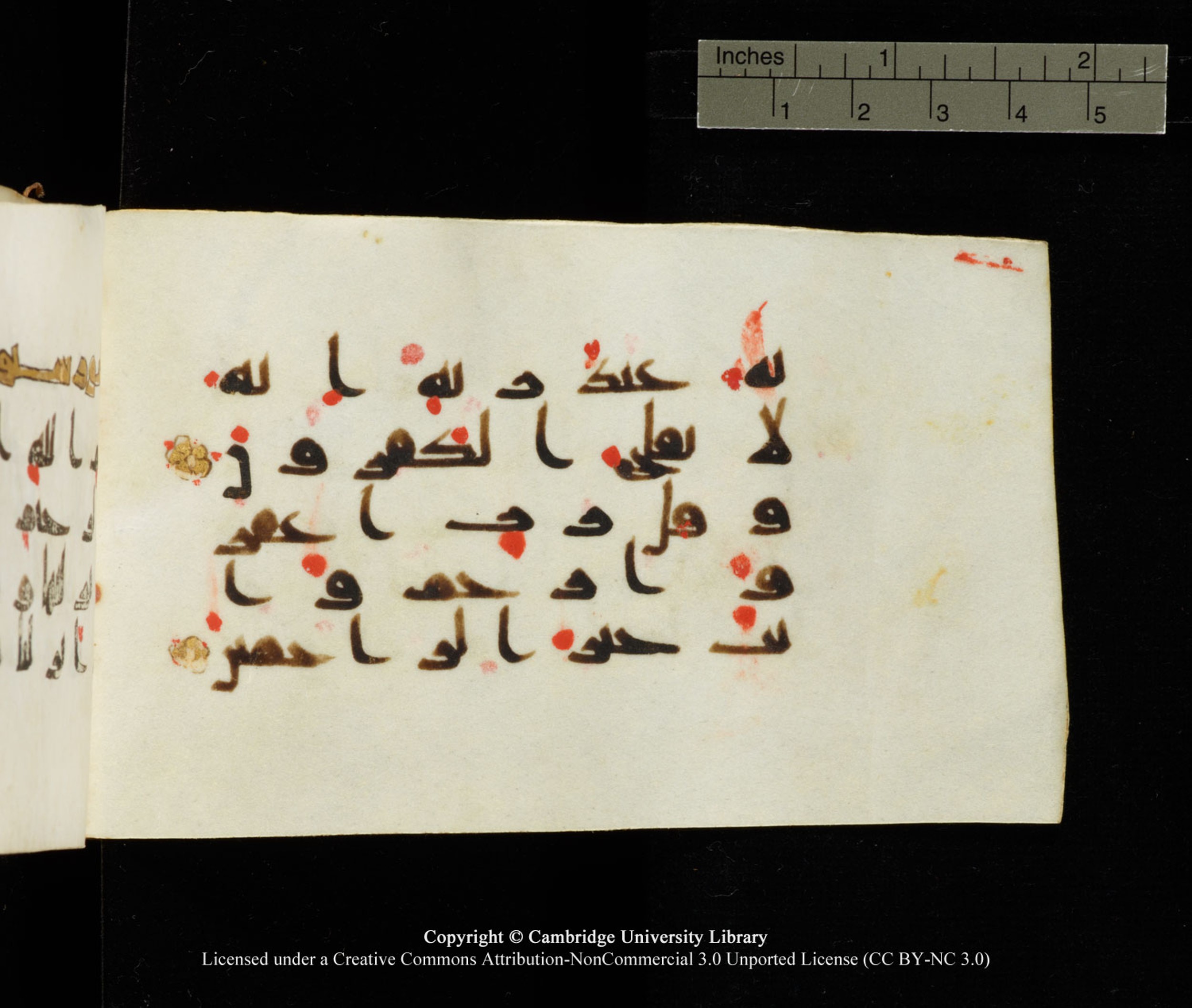 Cambridge University Library MS Add.1138 (Scan 2), in kūfī D.Va script, showing Surah 23:117 from 9th to 10th Century AD found in Sinai Peninsula, currently housed at Cambridge University Library, Cambridge