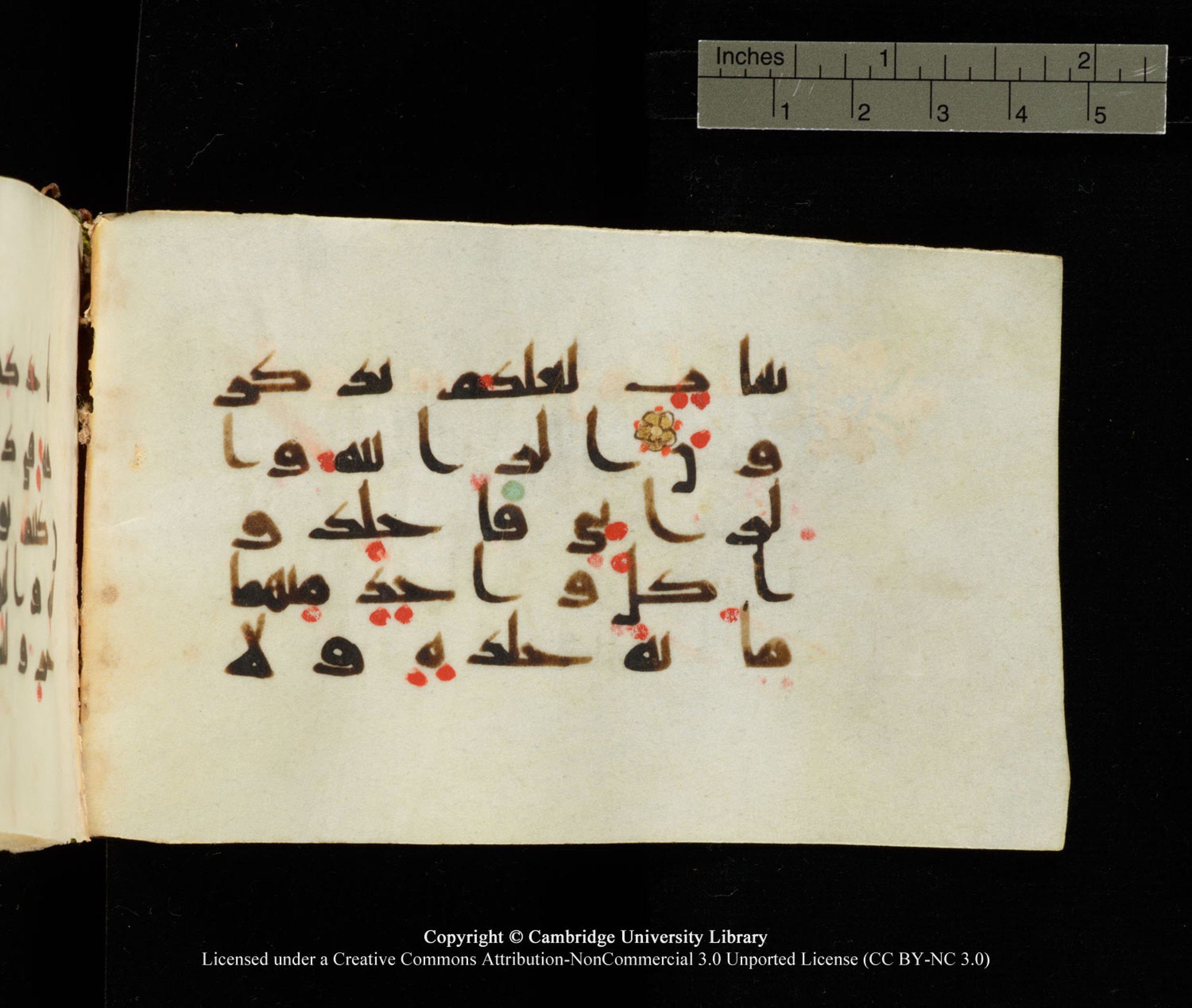 Cambridge University Library MS Add.1138 (Scan 1), in kūfī D.Va script, showing Surah 24:2 from 9th to 10th Century AD found in Sinai Peninsula, currently housed at Cambridge University Library, Cambridge