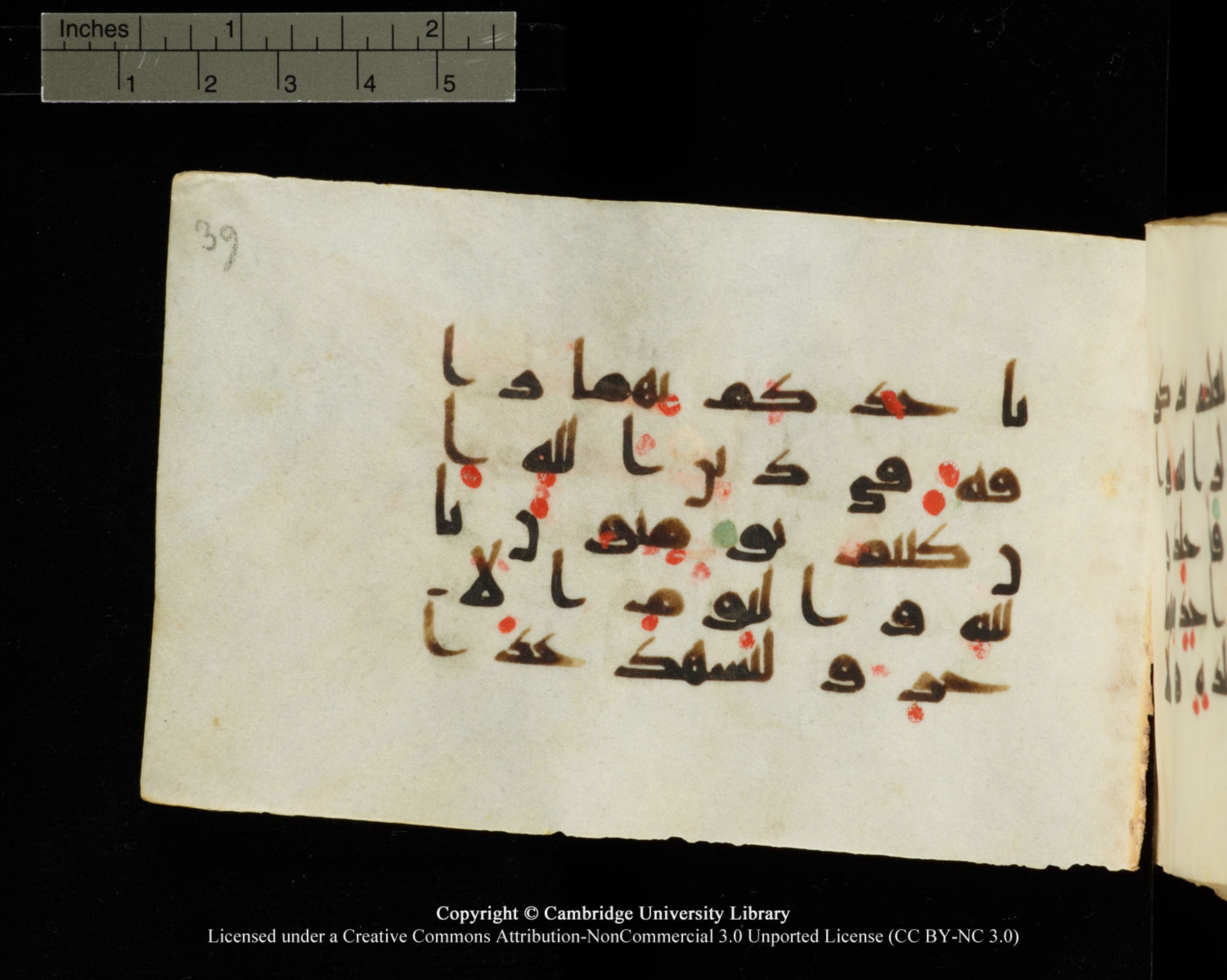 Cambridge University Library MS Add.1138 (Scan 2), in kūfī D.Va script, showing Surah 24:2 from 9th to 10th Century AD found in Sinai Peninsula, currently housed at Cambridge University Library, Cambridge