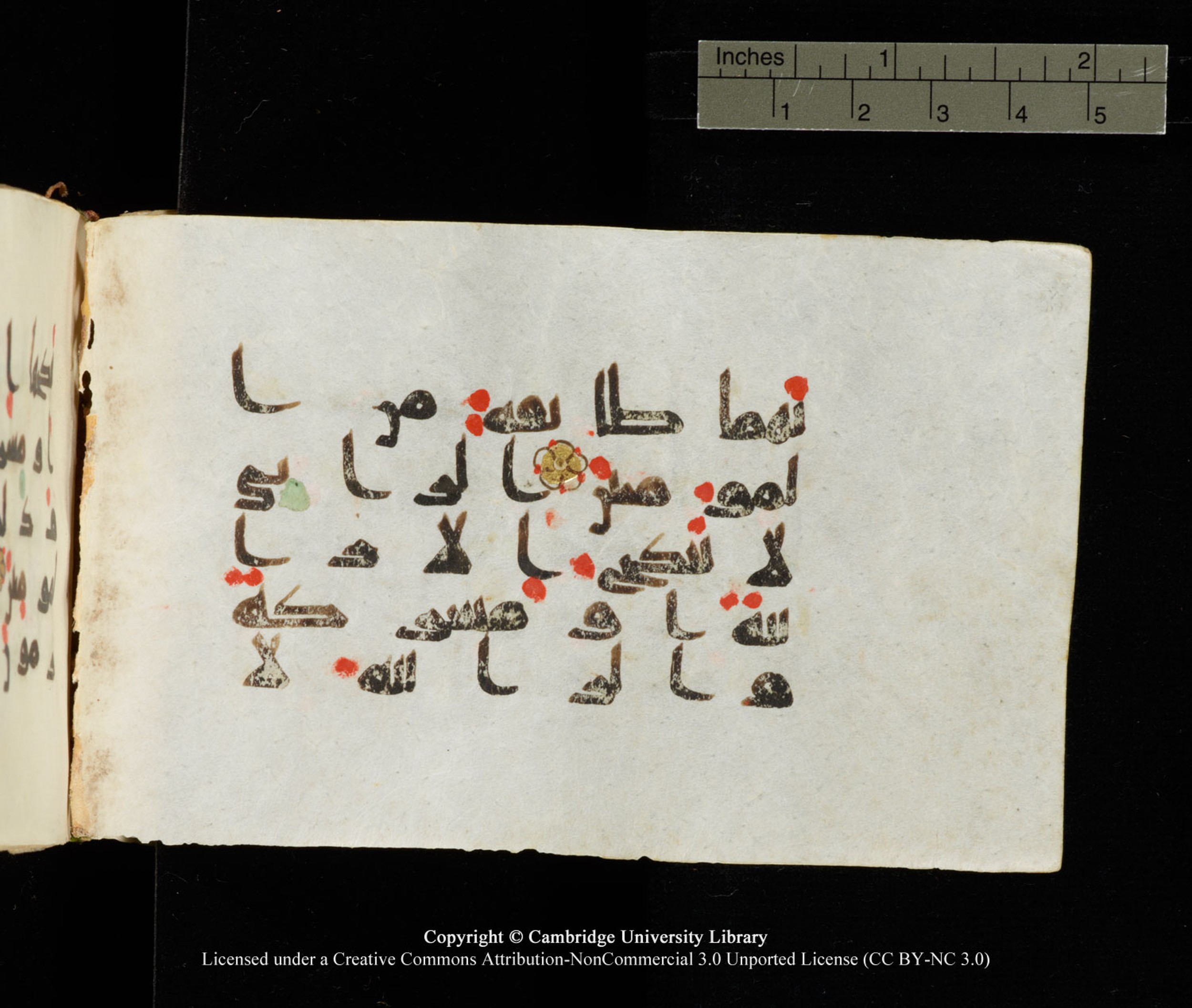 Cambridge University Library MS Add.1138 (Scan 3), in kūfī D.Va script, showing Surah 24:2 from 9th to 10th Century AD found in Sinai Peninsula, currently housed at Cambridge University Library, Cambridge