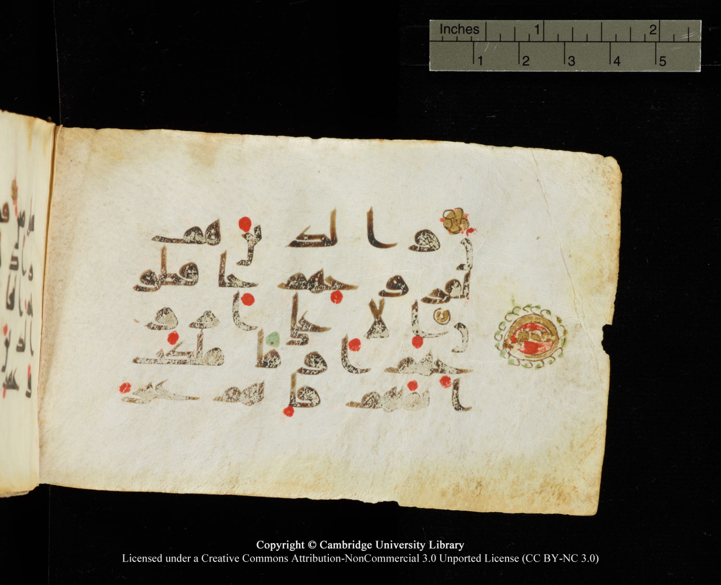 Cambridge University Library MS Add.1138, in kūfī D.Va script, showing Surah 23:5 from 9th to 10th Century AD found in Sinai Peninsula, currently housed at Cambridge University Library, Cambridge