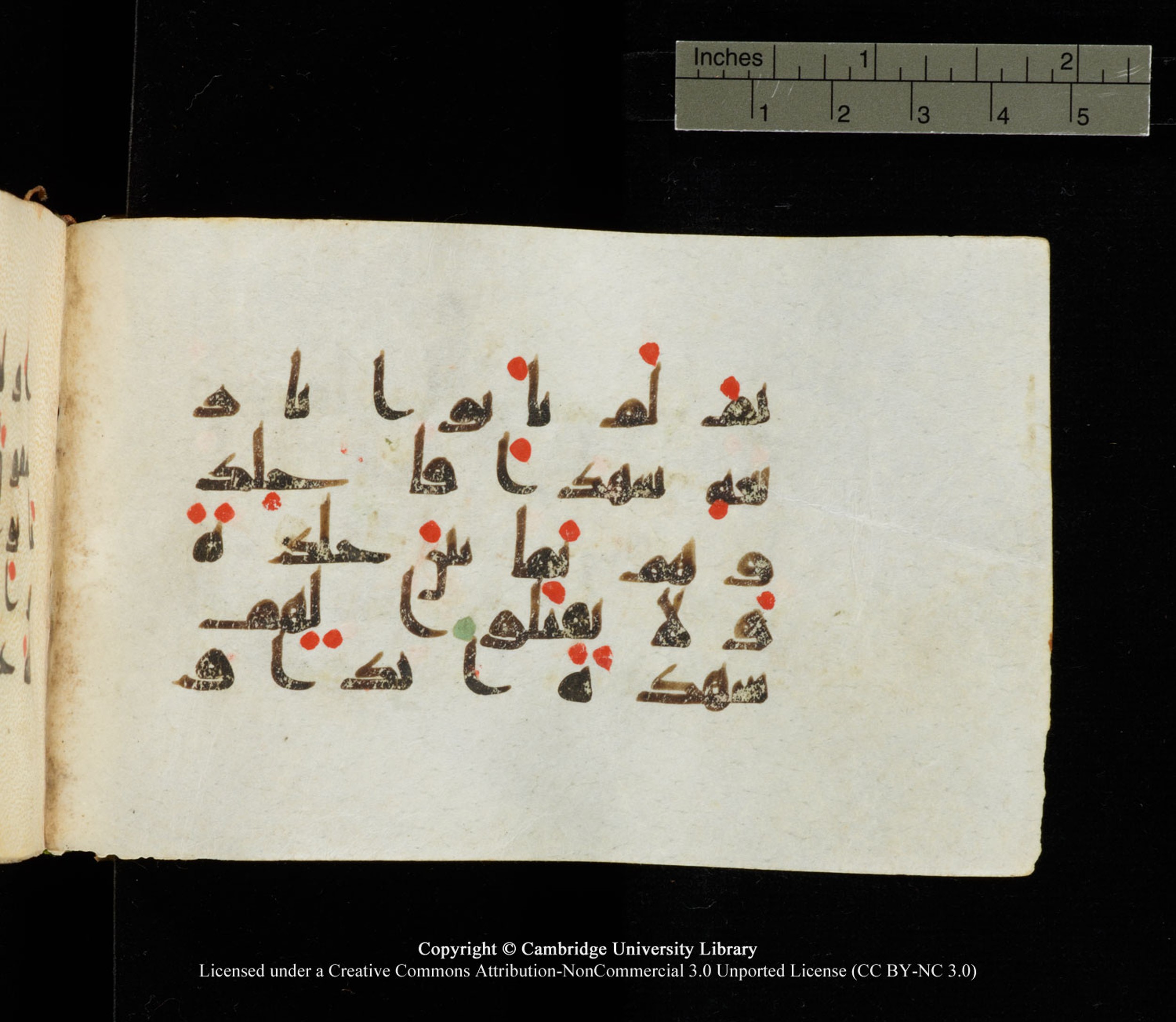 Cambridge University Library MS Add.1138 (Scan 2), in kūfī D.Va script, showing Surah 24:4 from 9th to 10th Century AD found in Sinai Peninsula, currently housed at Cambridge University Library, Cambridge