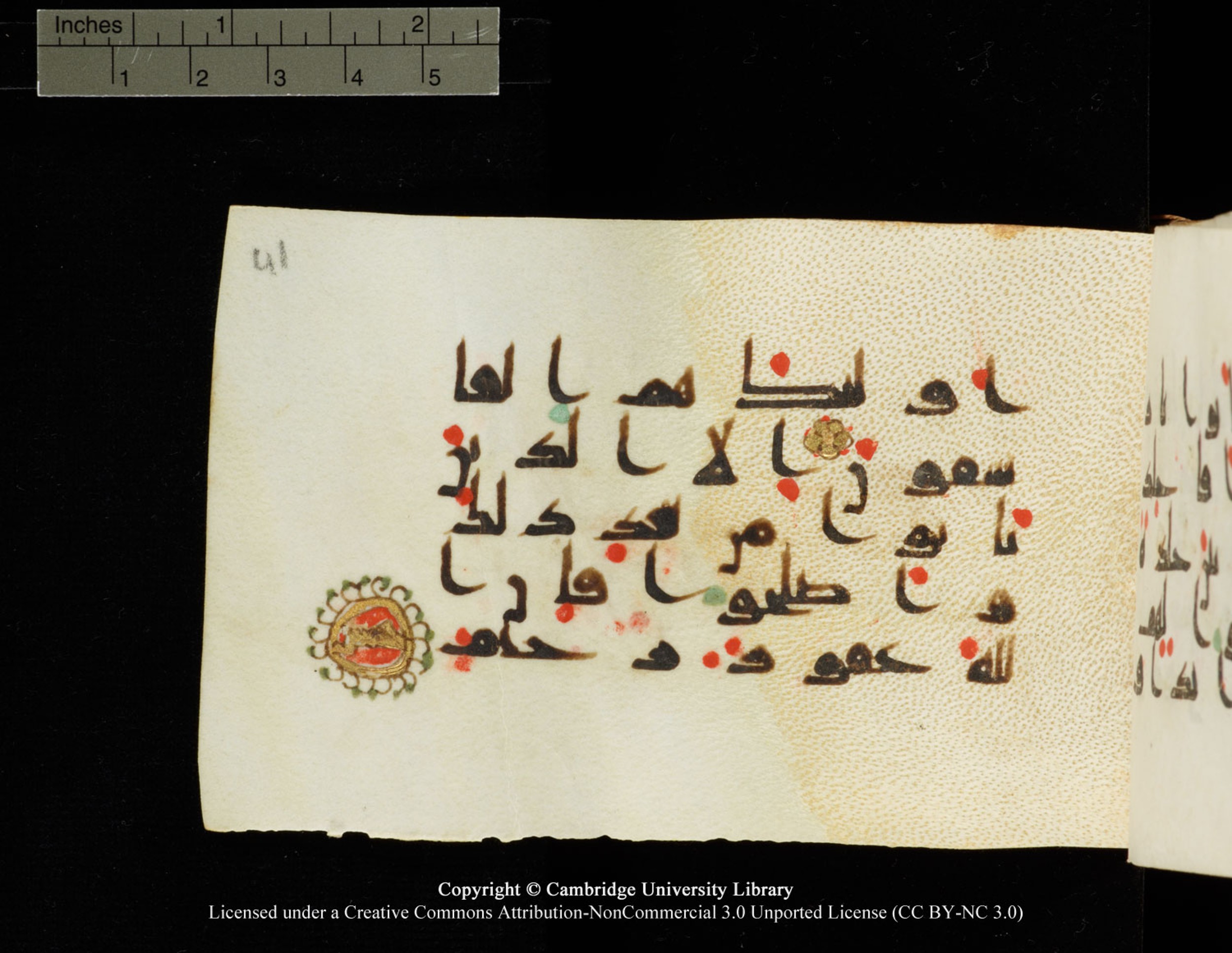 Cambridge University Library MS Add.1138 (Scan 3), in kūfī D.Va script, showing Surah 24:4 from 9th to 10th Century AD found in Sinai Peninsula, currently housed at Cambridge University Library, Cambridge