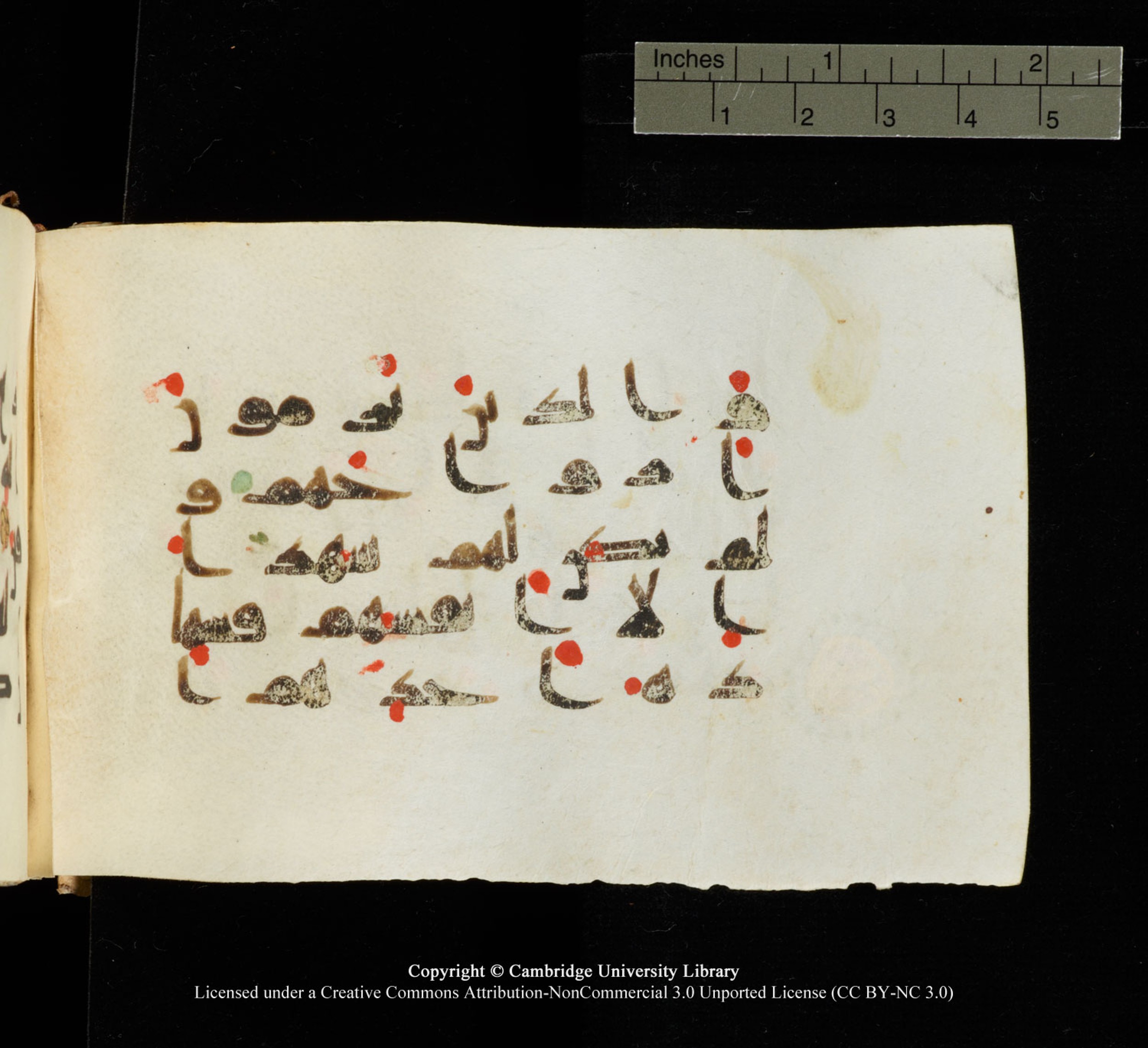 Cambridge University Library MS Add.1138 (Scan 1), in kūfī D.Va script, showing Surah 24:6 from 9th to 10th Century AD found in Sinai Peninsula, currently housed at Cambridge University Library, Cambridge