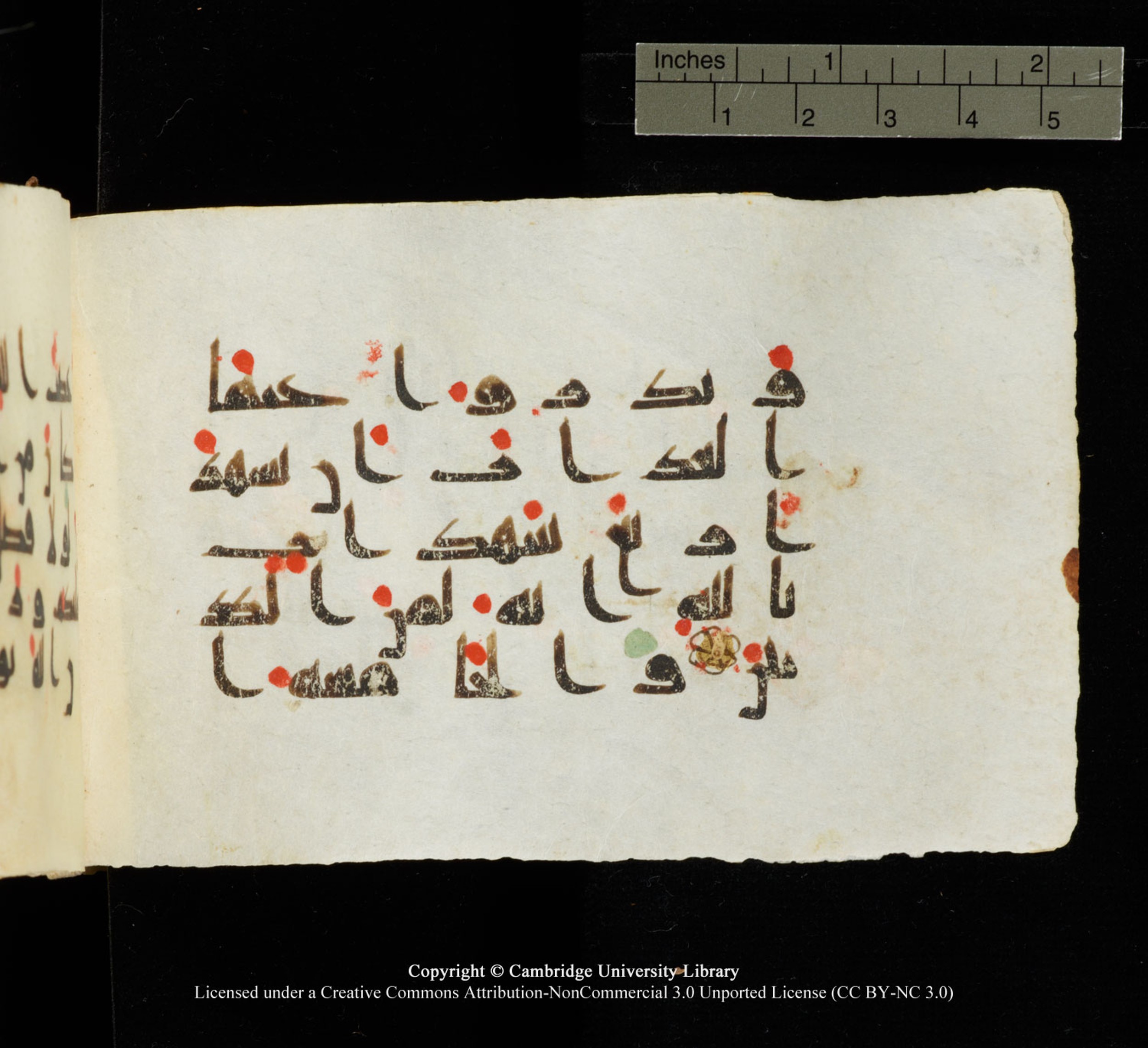 Cambridge University Library MS Add.1138, in kūfī D.Va script, showing Surah 24:8 from 9th to 10th Century AD found in Sinai Peninsula, currently housed at Cambridge University Library, Cambridge