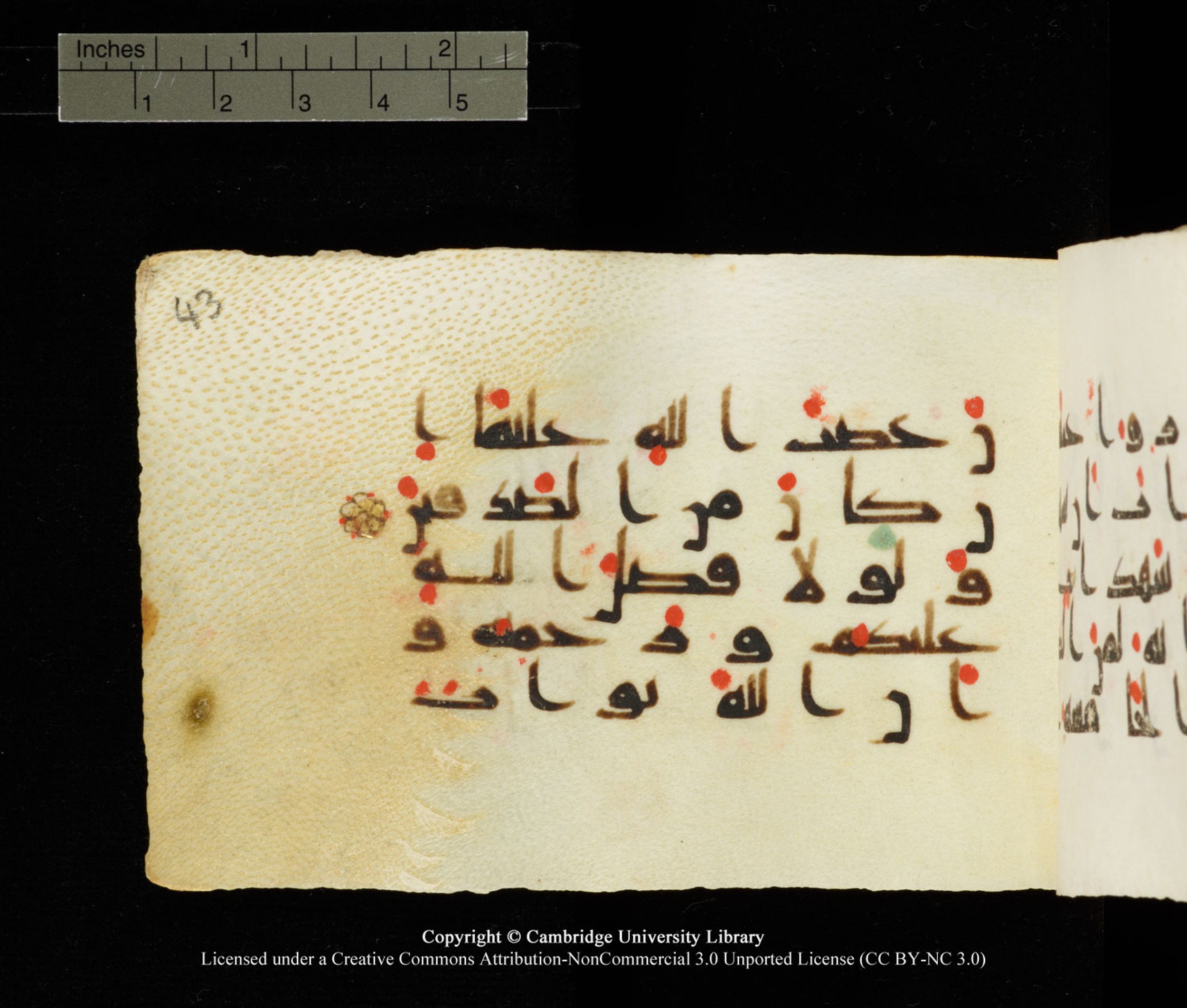 Cambridge University Library MS Add.1138 (Scan 2), in kūfī D.Va script, showing Surah 24:9 from 9th to 10th Century AD found in Sinai Peninsula, currently housed at Cambridge University Library, Cambridge