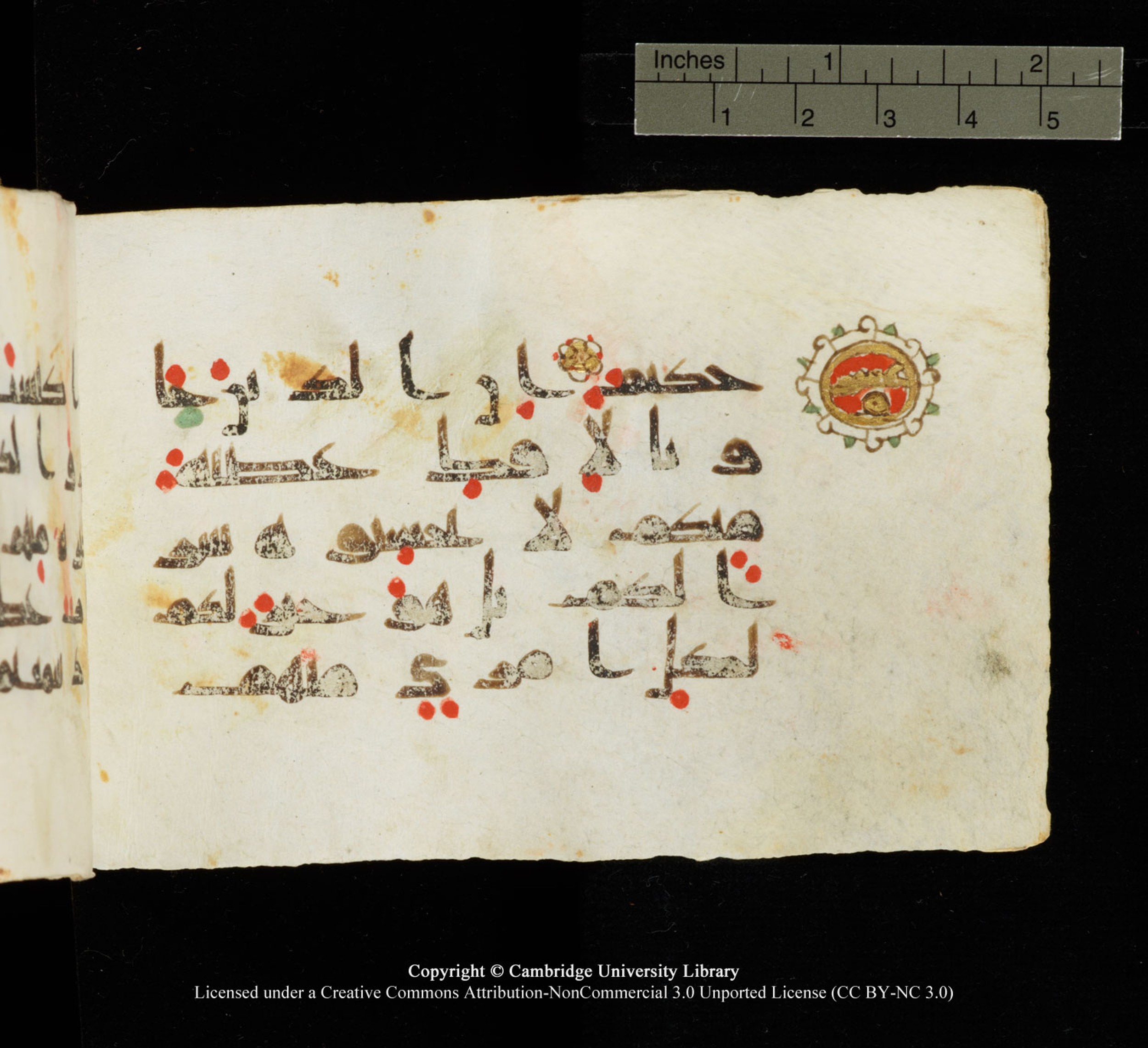Cambridge University Library MS Add.1138 (Scan 1), in kūfī D.Va script, showing Surah 24:11 from 9th to 10th Century AD found in Sinai Peninsula, currently housed at Cambridge University Library, Cambridge