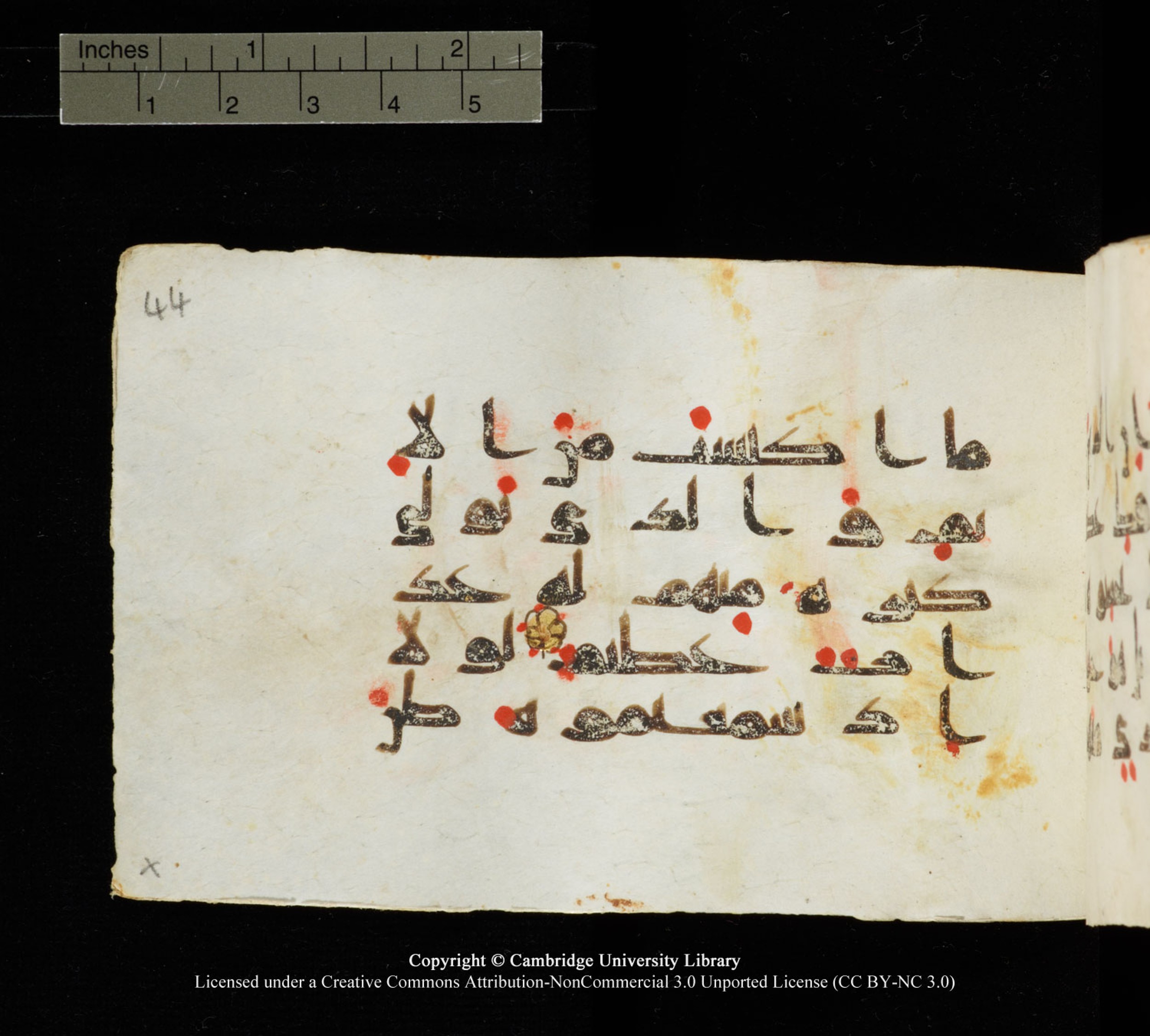 Cambridge University Library MS Add.1138 (Scan 1), in kūfī D.Va script, showing Surah 24:12 from 9th to 10th Century AD found in Sinai Peninsula, currently housed at Cambridge University Library, Cambridge