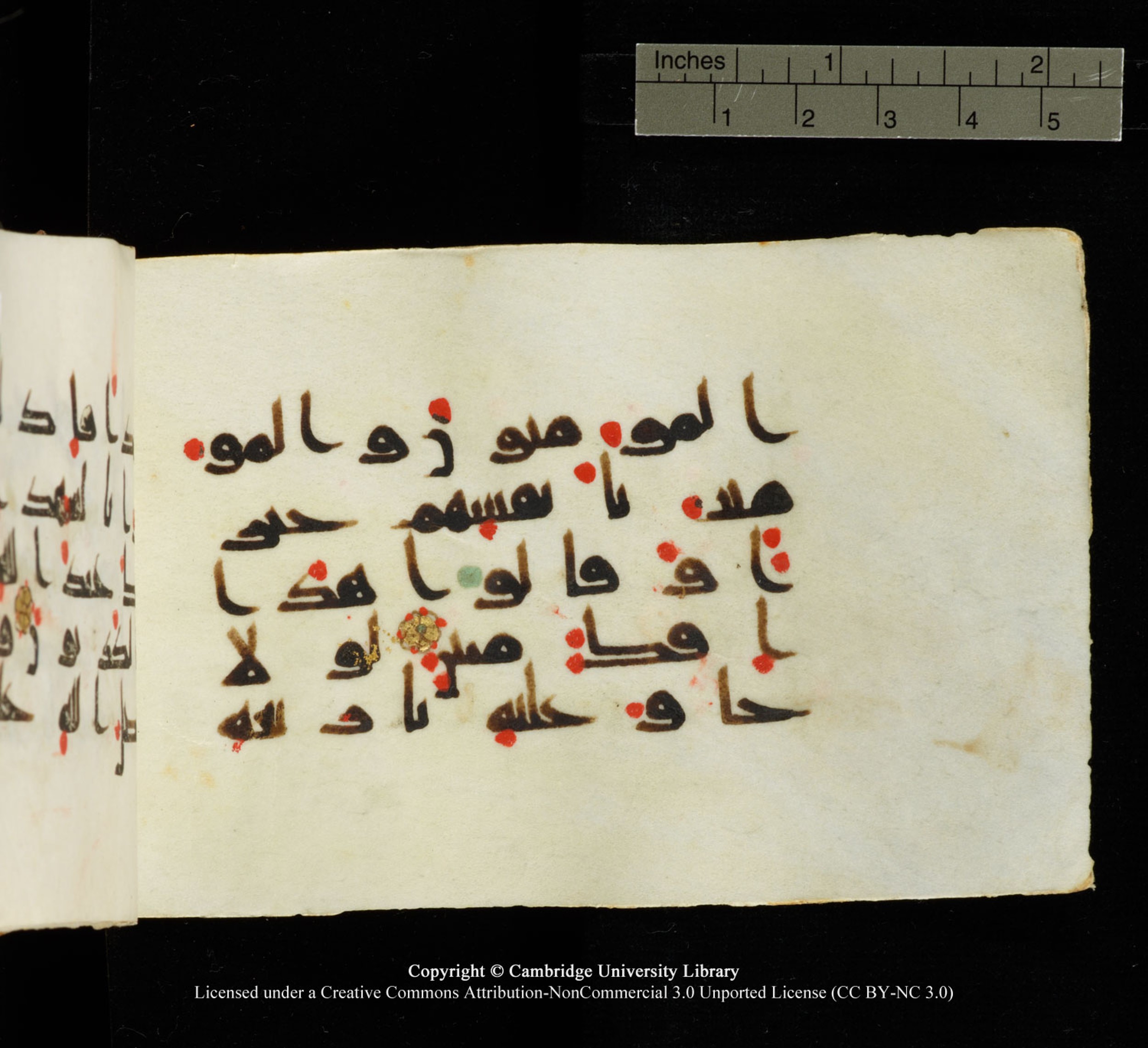 Cambridge University Library MS Add.1138 (Scan 2), in kūfī D.Va script, showing Surah 24:12 from 9th to 10th Century AD found in Sinai Peninsula, currently housed at Cambridge University Library, Cambridge
