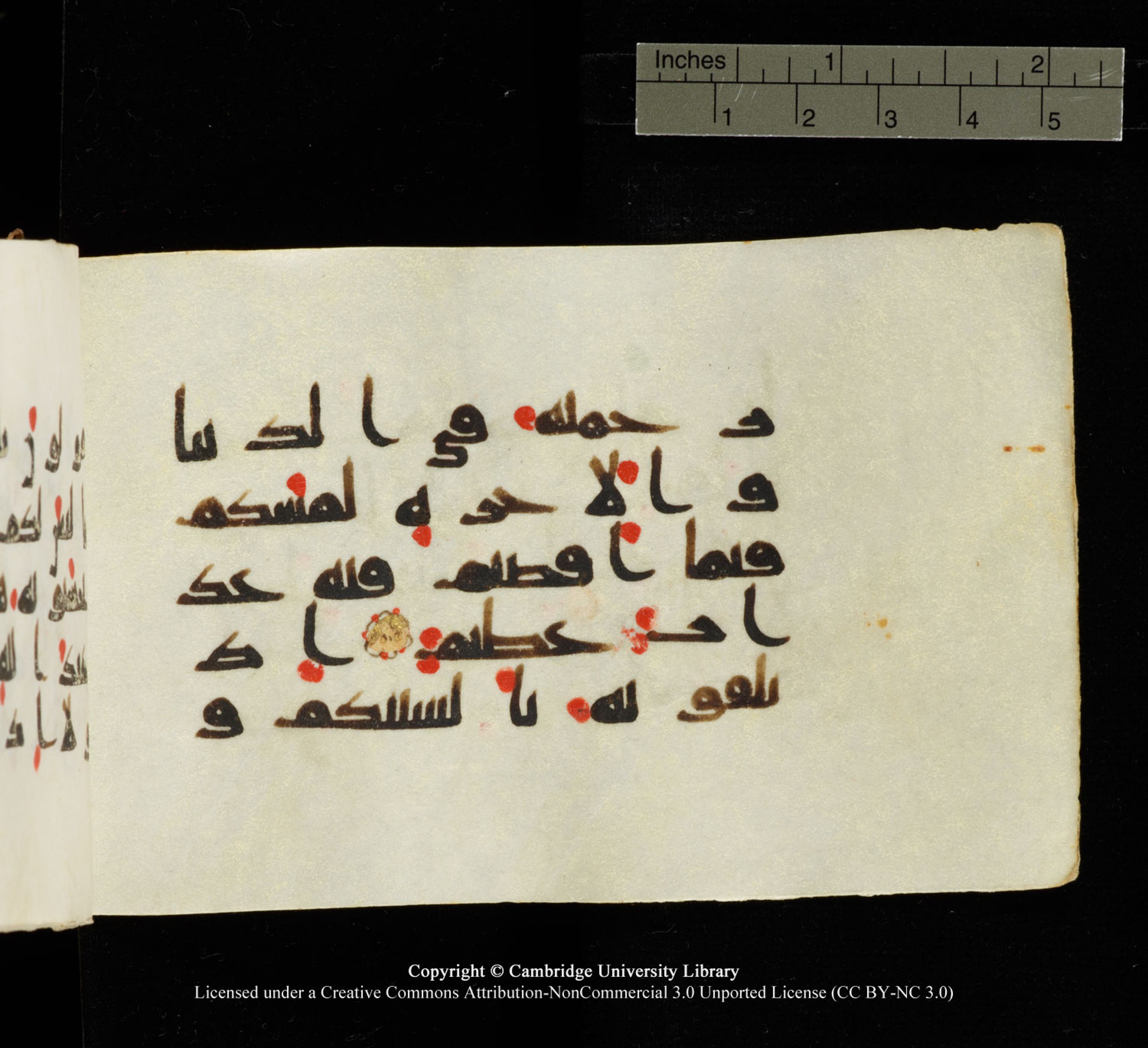 Cambridge University Library MS Add.1138 (Scan 2), in kūfī D.Va script, showing Surah 24:14 from 9th to 10th Century AD found in Sinai Peninsula, currently housed at Cambridge University Library, Cambridge