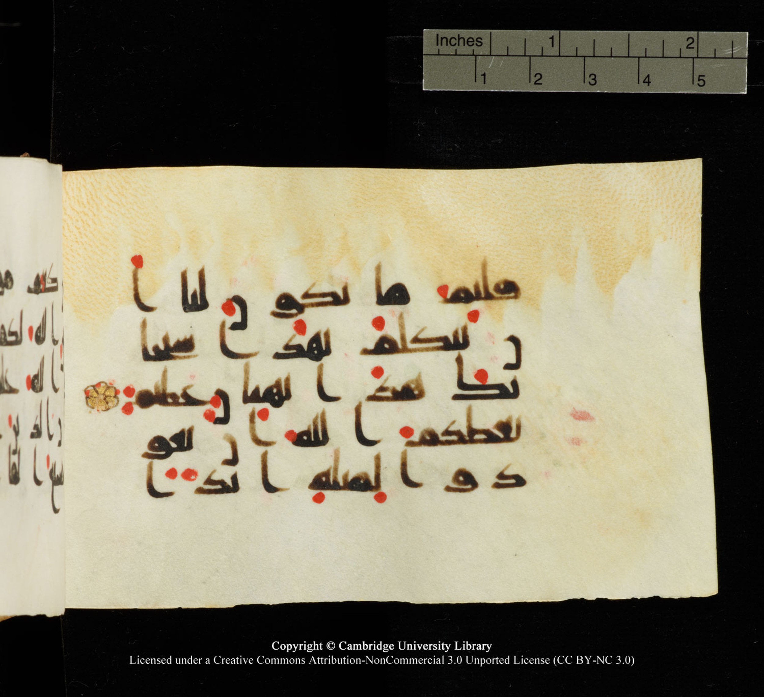 Cambridge University Library MS Add.1138 (Scan 2), in kūfī D.Va script, showing Surah 24:16 from 9th to 10th Century AD found in Sinai Peninsula, currently housed at Cambridge University Library, Cambridge