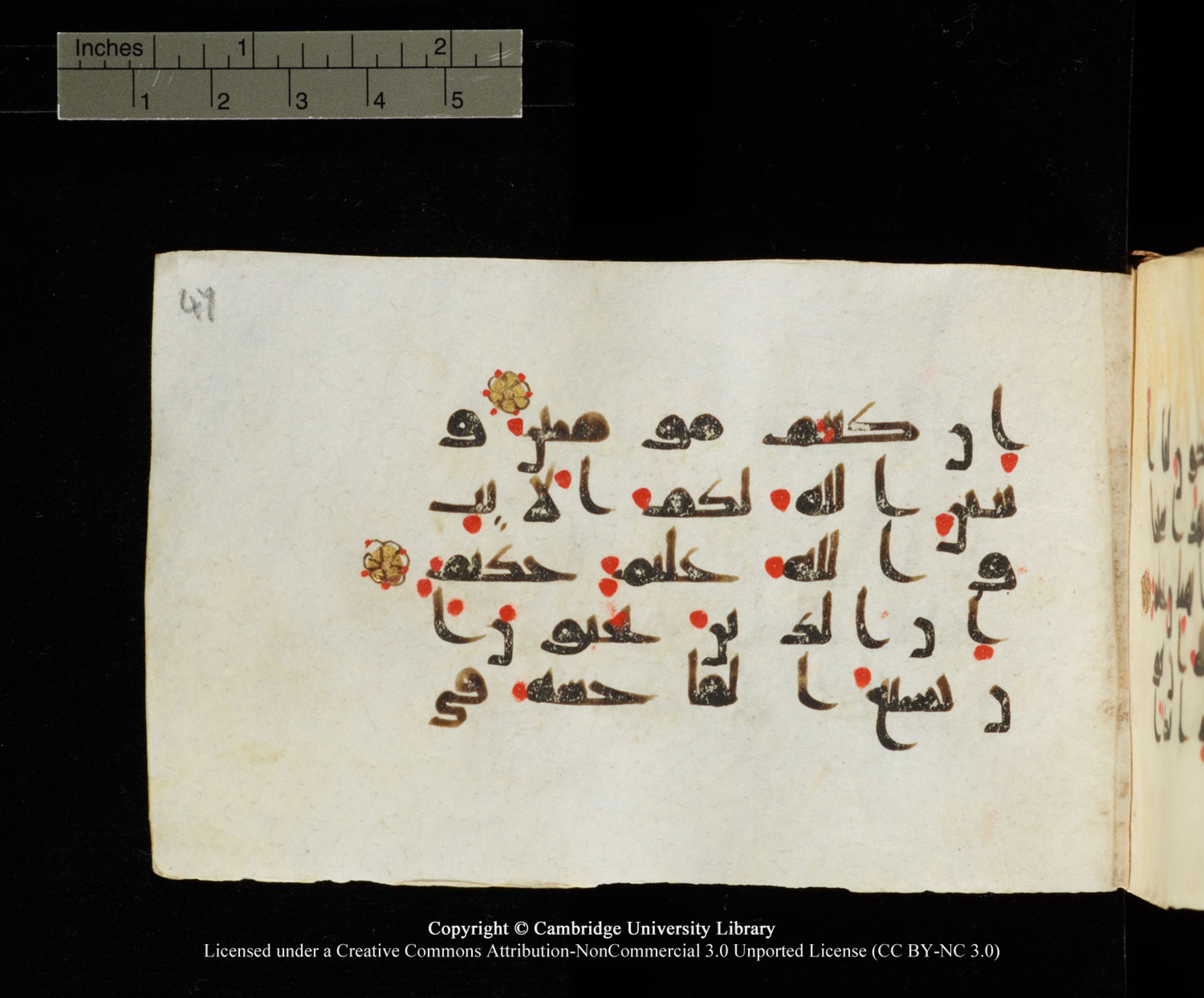 Cambridge University Library MS Add.1138 (Scan 1), in kūfī D.Va script, showing Surah 24:19 from 9th to 10th Century AD found in Sinai Peninsula, currently housed at Cambridge University Library, Cambridge