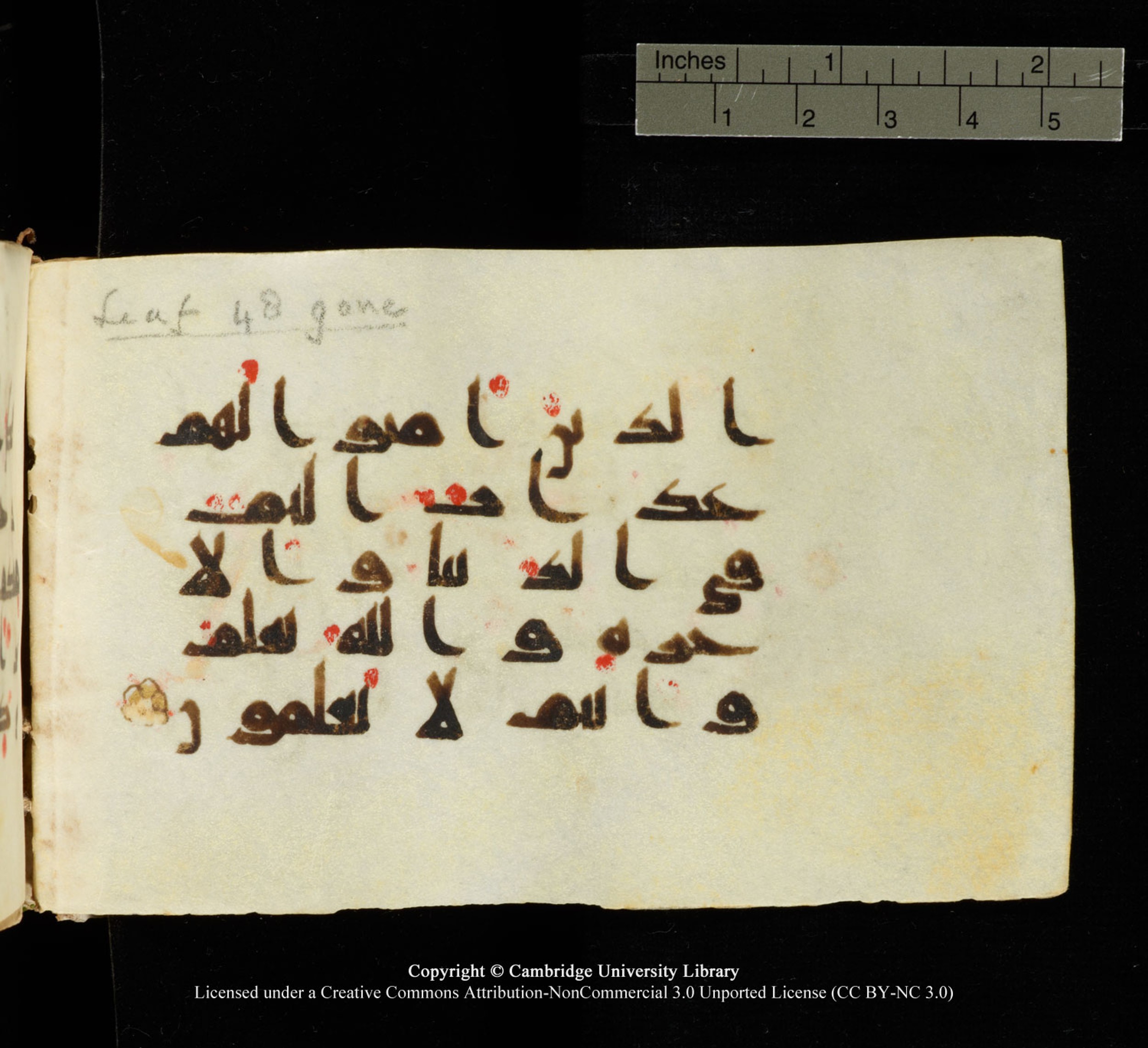 Cambridge University Library MS Add.1138 (Scan 2), in kūfī D.Va script, showing Surah 24:19 from 9th to 10th Century AD found in Sinai Peninsula, currently housed at Cambridge University Library, Cambridge