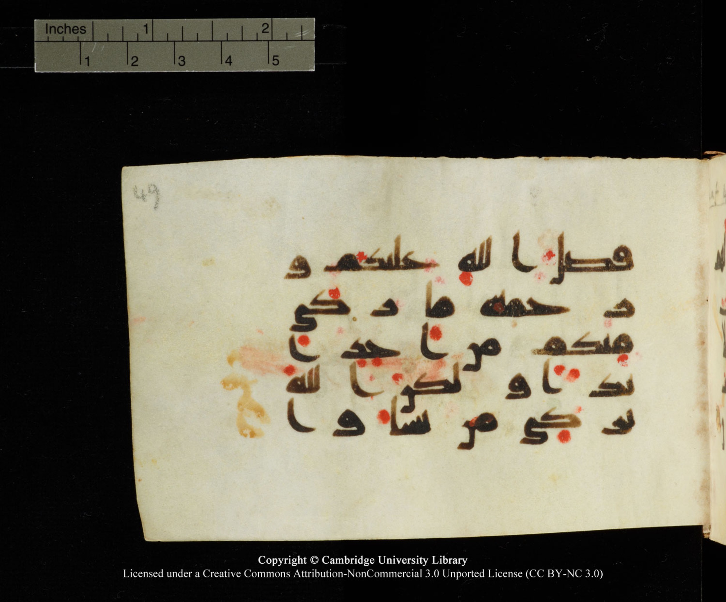 Cambridge University Library MS Add.1138 (Scan 1), in kūfī D.Va script, showing Surah 24:21 from 9th to 10th Century AD found in Sinai Peninsula, currently housed at Cambridge University Library, Cambridge