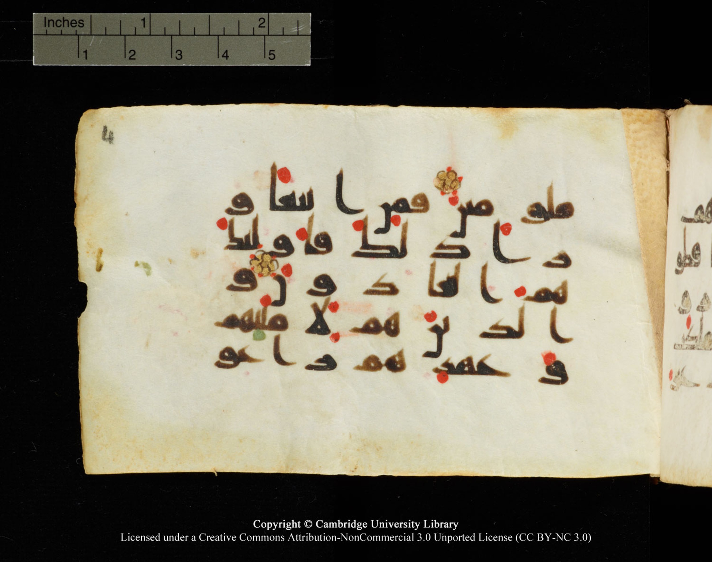 Cambridge University Library MS Add.1138, in kūfī D.Va script, showing Surah 23:7 from 9th to 10th Century AD found in Sinai Peninsula, currently housed at Cambridge University Library, Cambridge