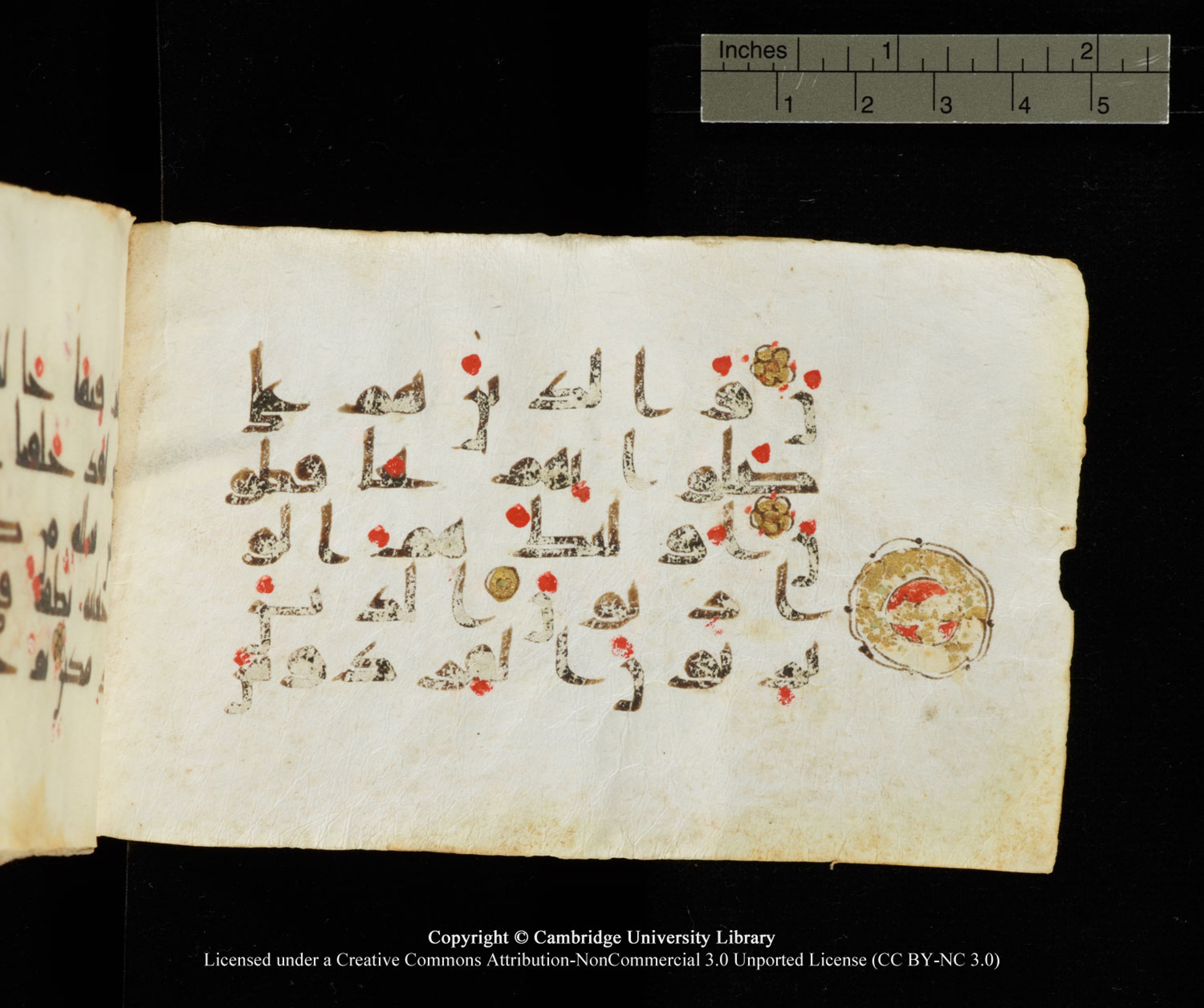 Cambridge University Library MS Add.1138 (Scan 2), in kūfī D.Va script, showing Surah 23:8 from 9th to 10th Century AD found in Sinai Peninsula, currently housed at Cambridge University Library, Cambridge