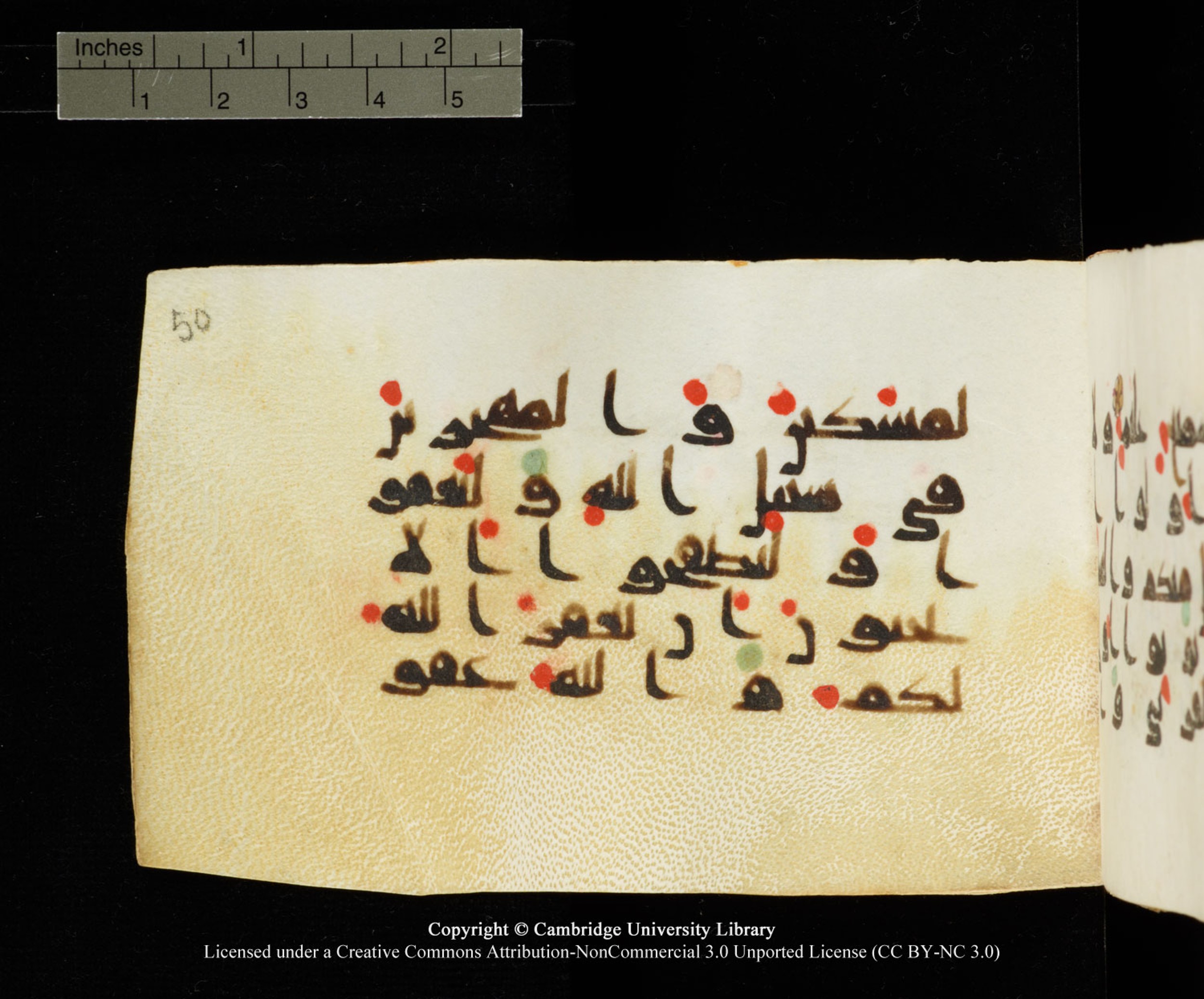 Cambridge University Library MS Add.1138 (Scan 2), in kūfī D.Va script, showing Surah 24:22 from 9th to 10th Century AD found in Sinai Peninsula, currently housed at Cambridge University Library, Cambridge