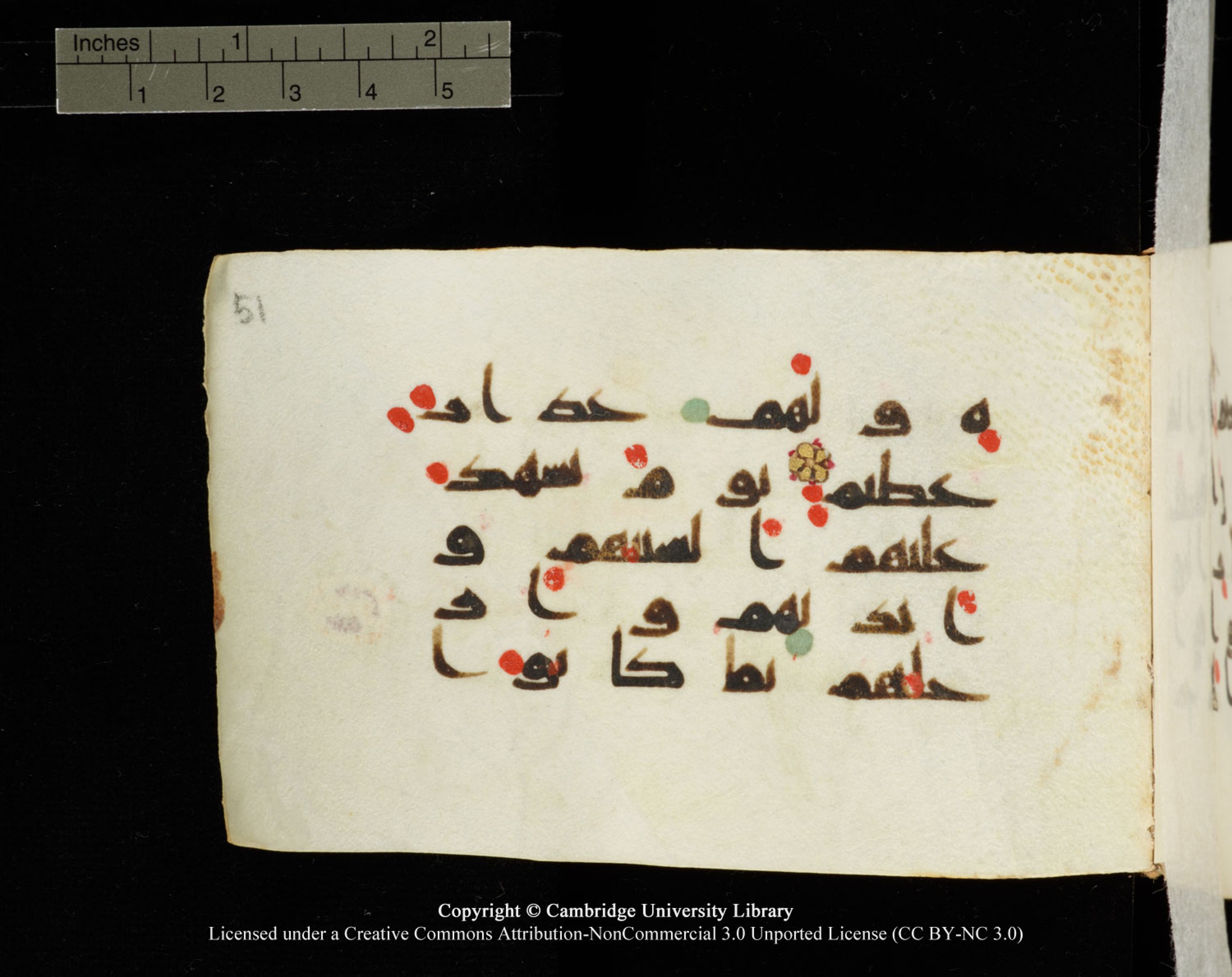 Cambridge University Library MS Add.1138 (Scan 2), in kūfī D.Va script, showing Surah 24:23 from 9th to 10th Century AD found in Sinai Peninsula, currently housed at Cambridge University Library, Cambridge
