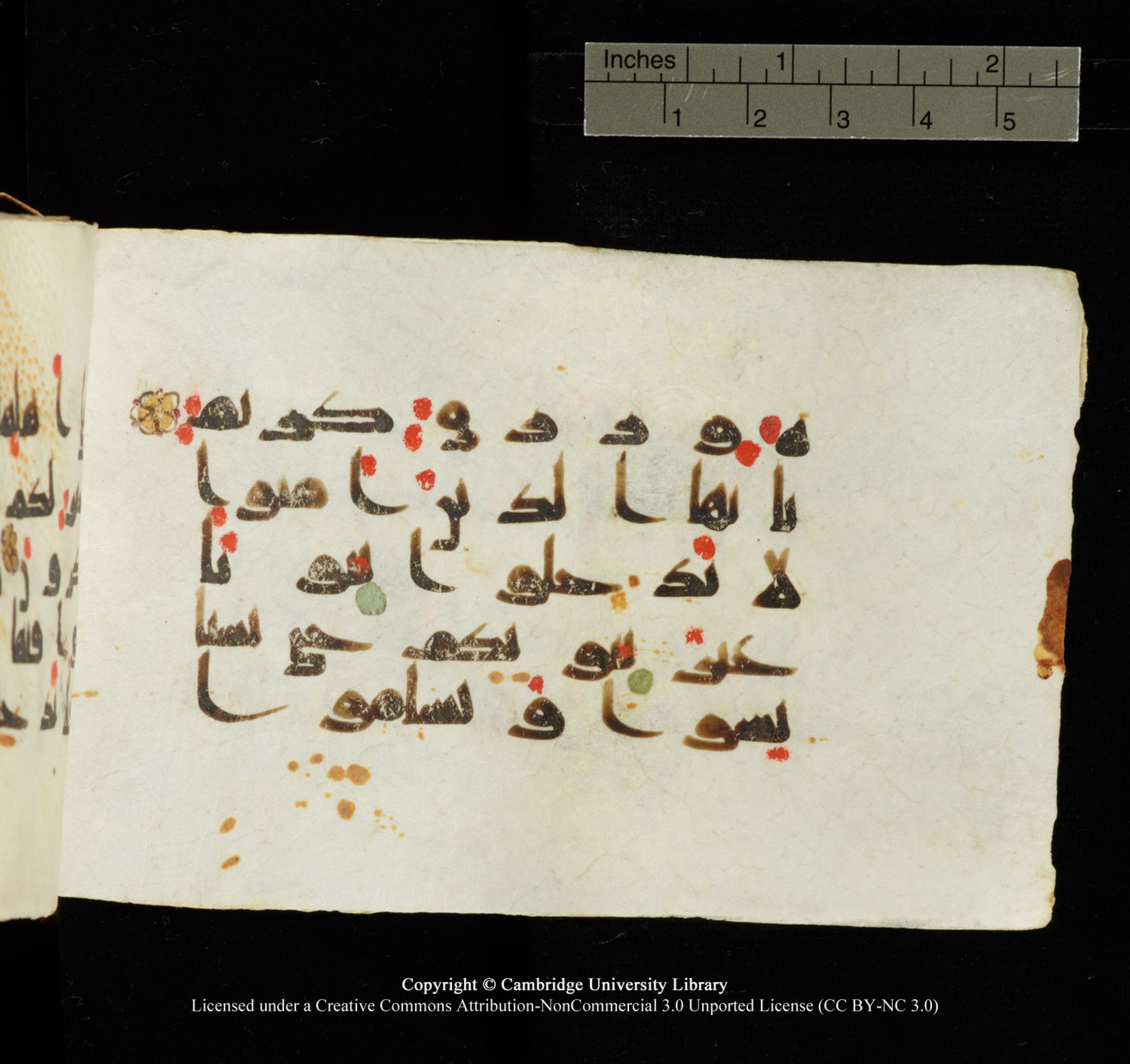 Cambridge University Library MS Add.1138 (Scan 1), in kūfī D.Va script, showing Surah 24:27 from 9th to 10th Century AD found in Sinai Peninsula, currently housed at Cambridge University Library, Cambridge