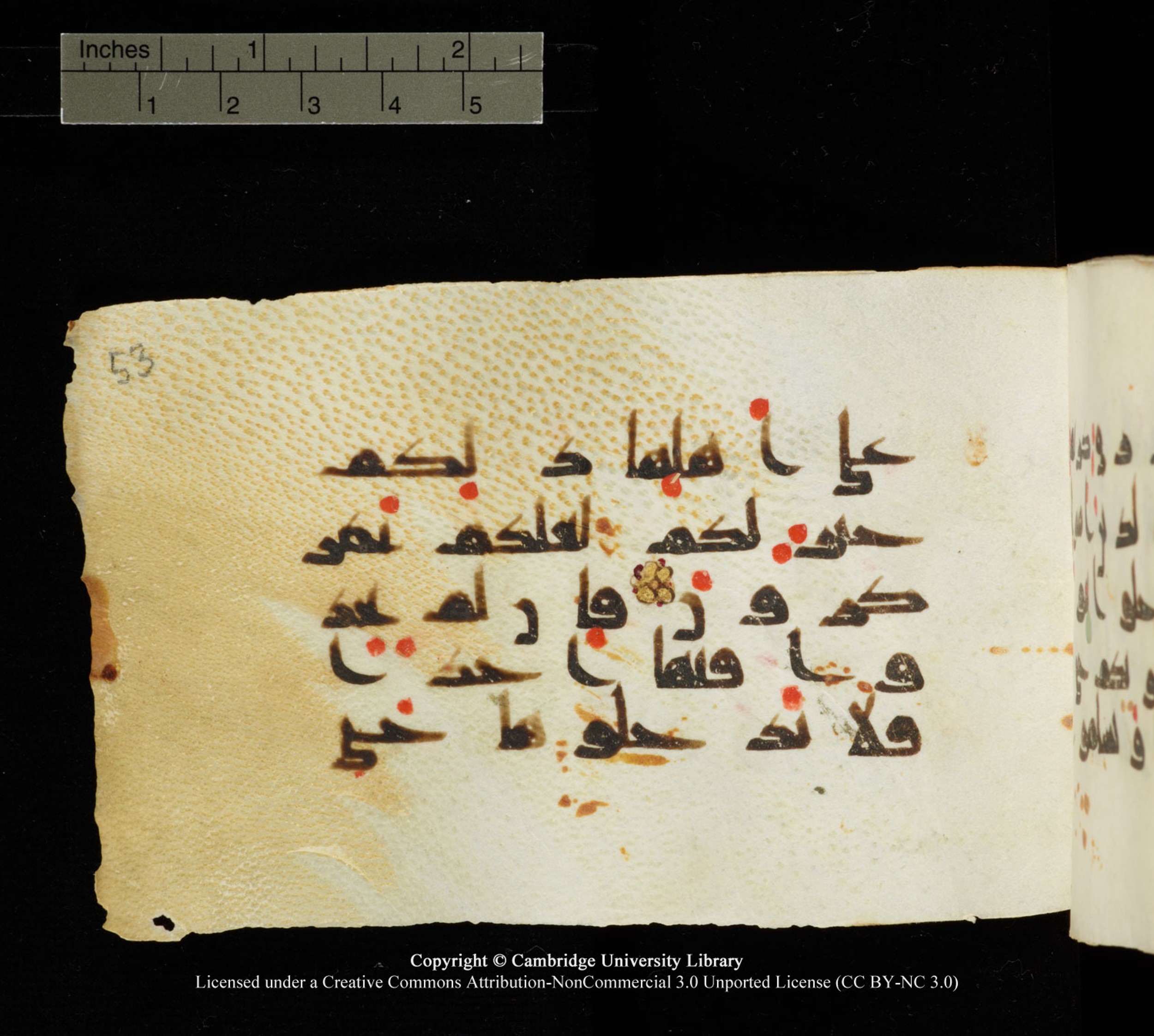 Cambridge University Library MS Add.1138 (Scan 2), in kūfī D.Va script, showing Surah 24:27 from 9th to 10th Century AD found in Sinai Peninsula, currently housed at Cambridge University Library, Cambridge