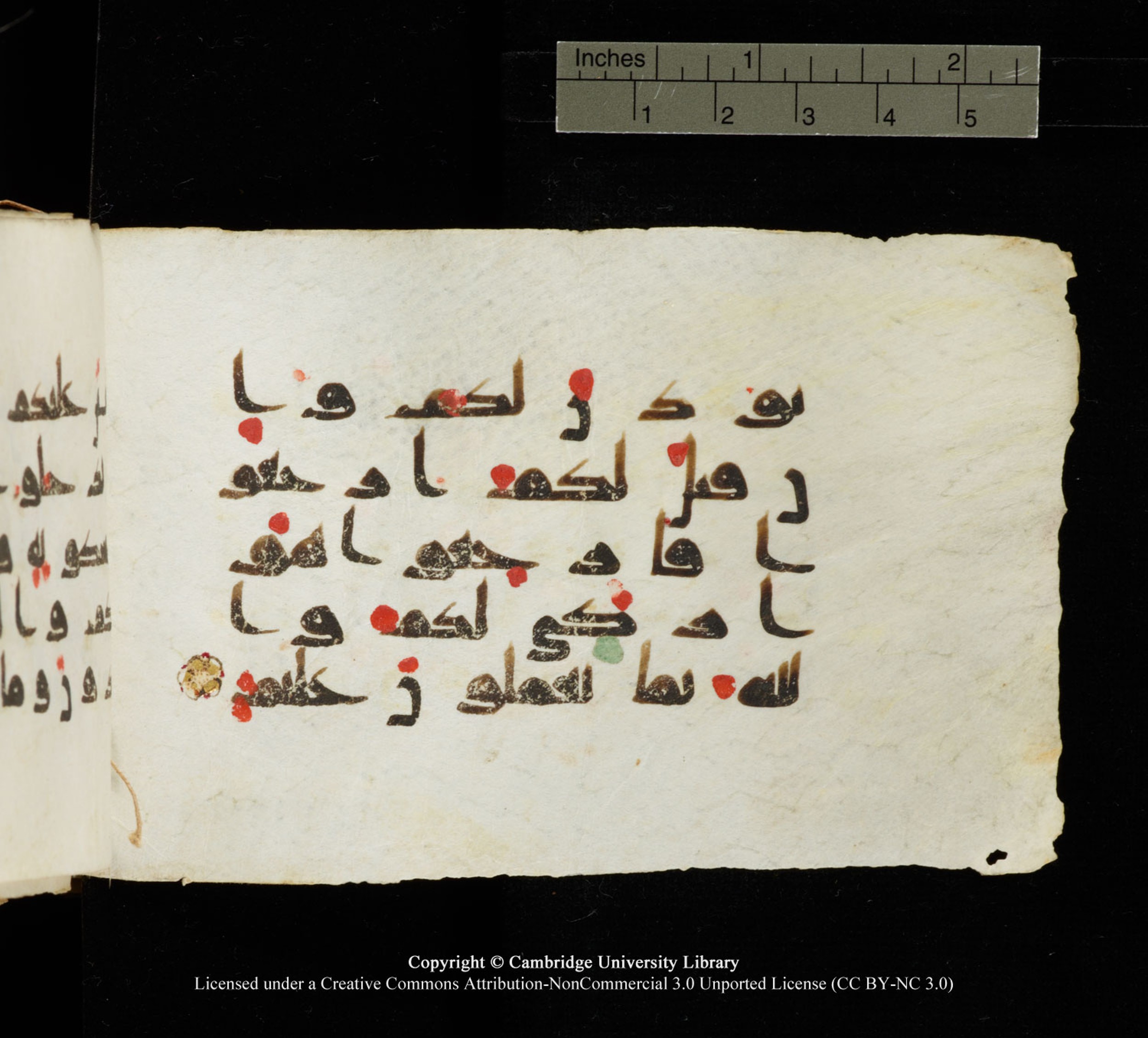 Cambridge University Library MS Add.1138 (Scan 2), in kūfī D.Va script, showing Surah 24:28 from 9th to 10th Century AD found in Sinai Peninsula, currently housed at Cambridge University Library, Cambridge
