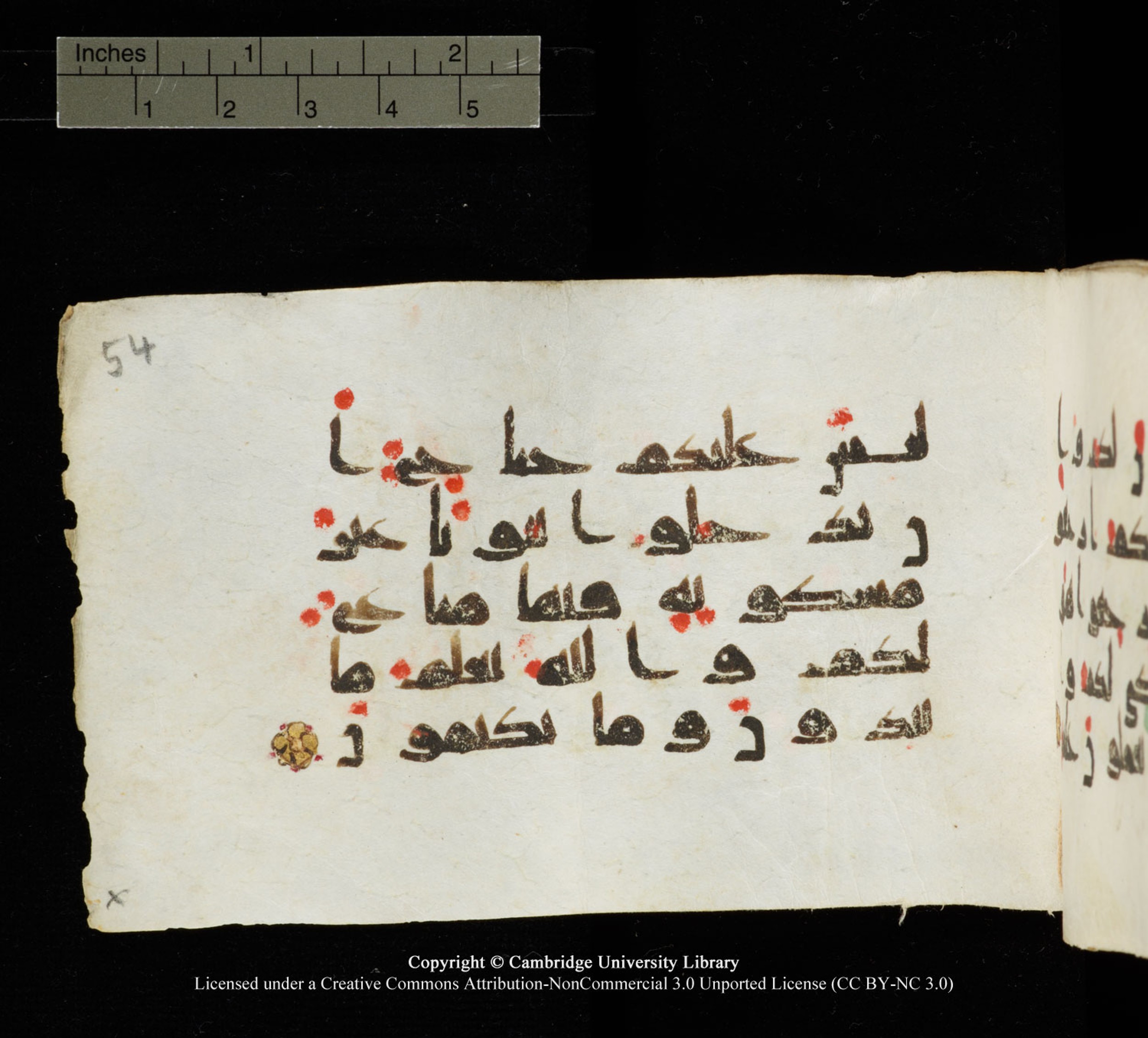 Cambridge University Library MS Add.1138, in kūfī D.Va script, showing Surah 24:29 from 9th to 10th Century AD found in Sinai Peninsula, currently housed at Cambridge University Library, Cambridge
