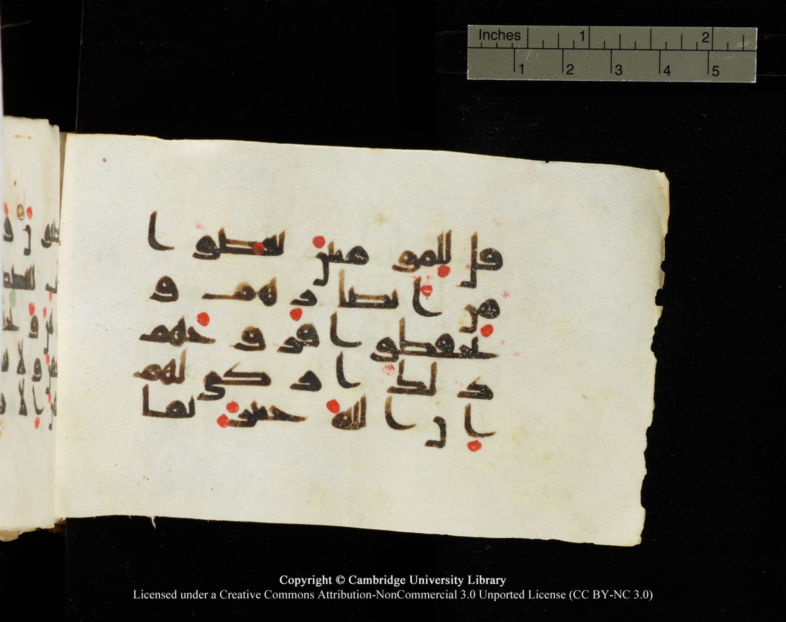 Cambridge University Library MS Add.1138 (Scan 1), in kūfī D.Va script, showing Surah 24:30 from 9th to 10th Century AD found in Sinai Peninsula, currently housed at Cambridge University Library, Cambridge