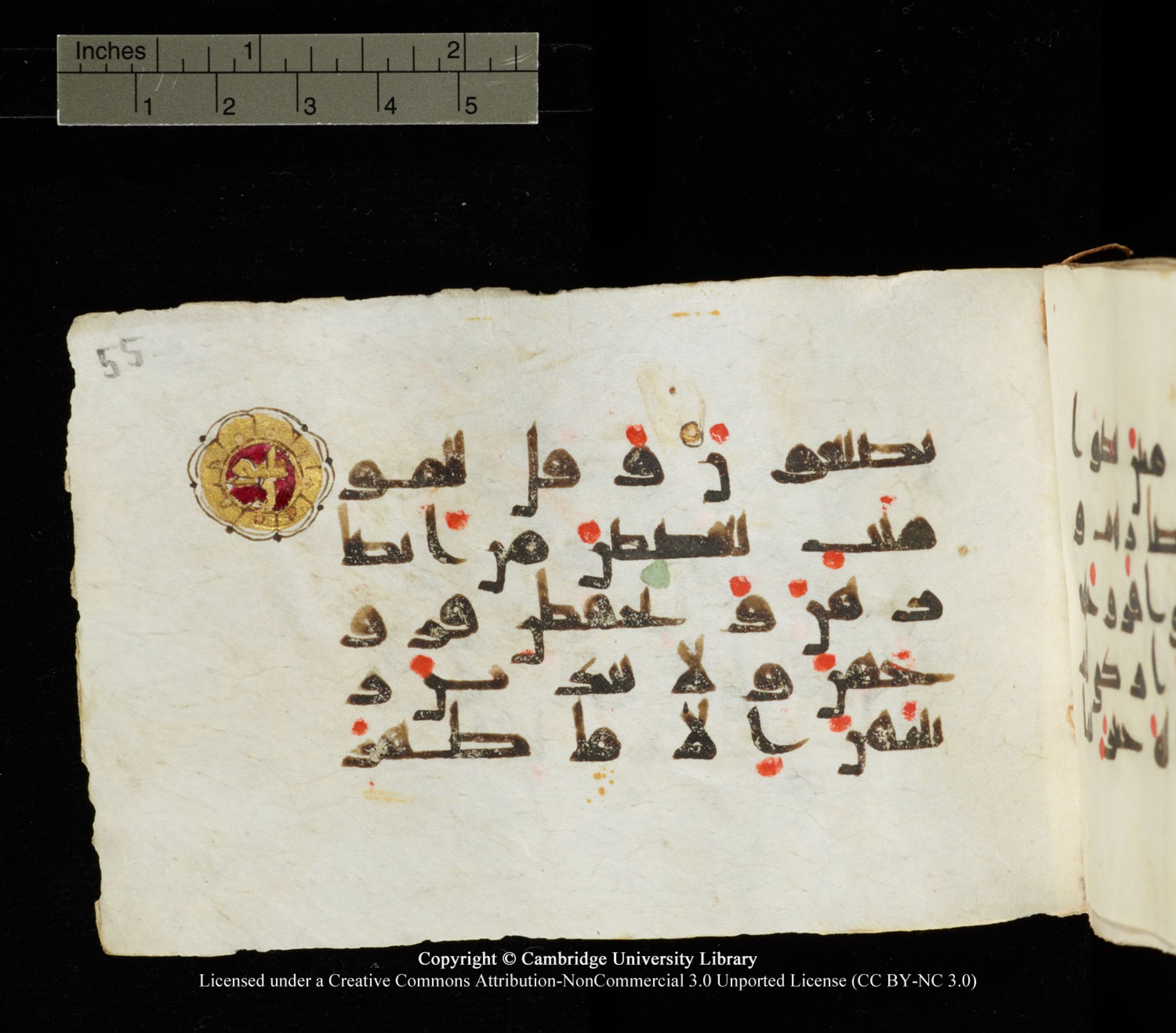 Cambridge University Library MS Add.1138 (Scan 1), in kūfī D.Va script, showing Surah 24:31 from 9th to 10th Century AD found in Sinai Peninsula, currently housed at Cambridge University Library, Cambridge