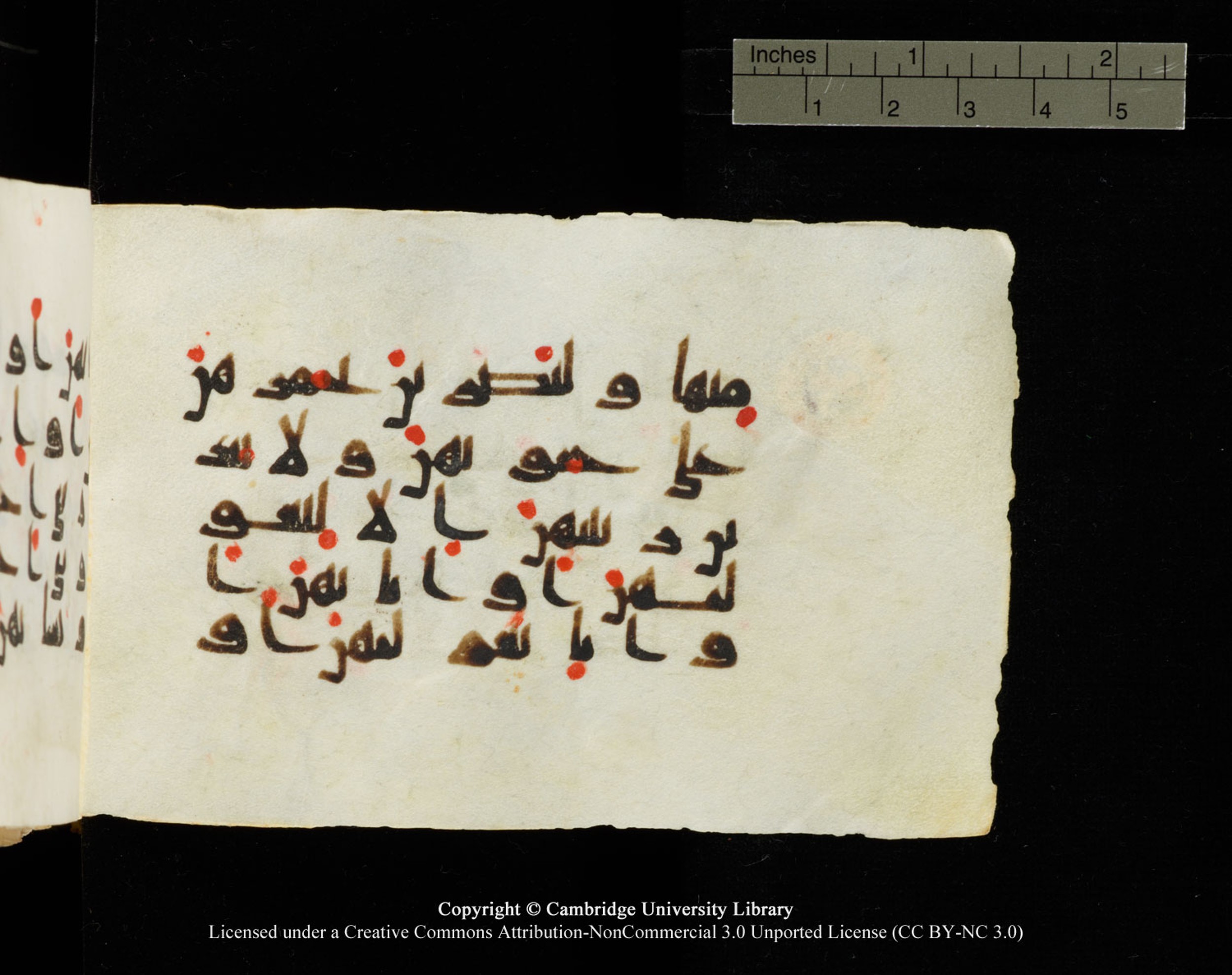 Cambridge University Library MS Add.1138 (Scan 2), in kūfī D.Va script, showing Surah 24:31 from 9th to 10th Century AD found in Sinai Peninsula, currently housed at Cambridge University Library, Cambridge