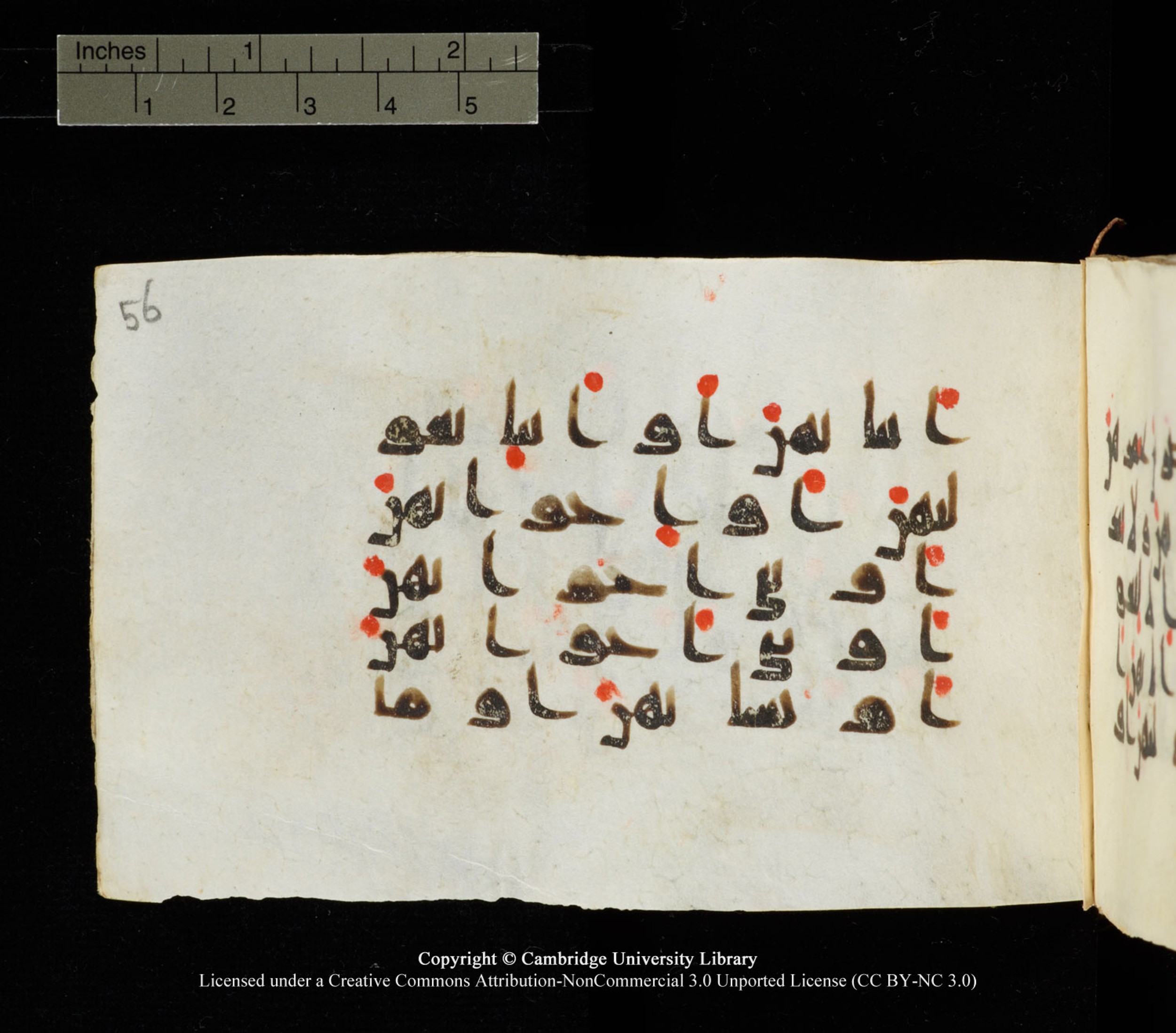 Cambridge University Library MS Add.1138 (Scan 3), in kūfī D.Va script, showing Surah 24:31 from 9th to 10th Century AD found in Sinai Peninsula, currently housed at Cambridge University Library, Cambridge