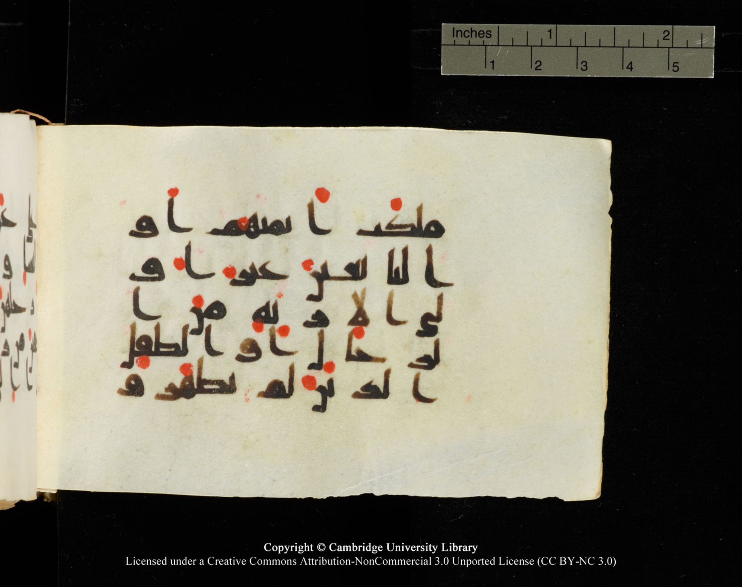 Cambridge University Library MS Add.1138 (Scan 4), in kūfī D.Va script, showing Surah 24:31 from 9th to 10th Century AD found in Sinai Peninsula, currently housed at Cambridge University Library, Cambridge