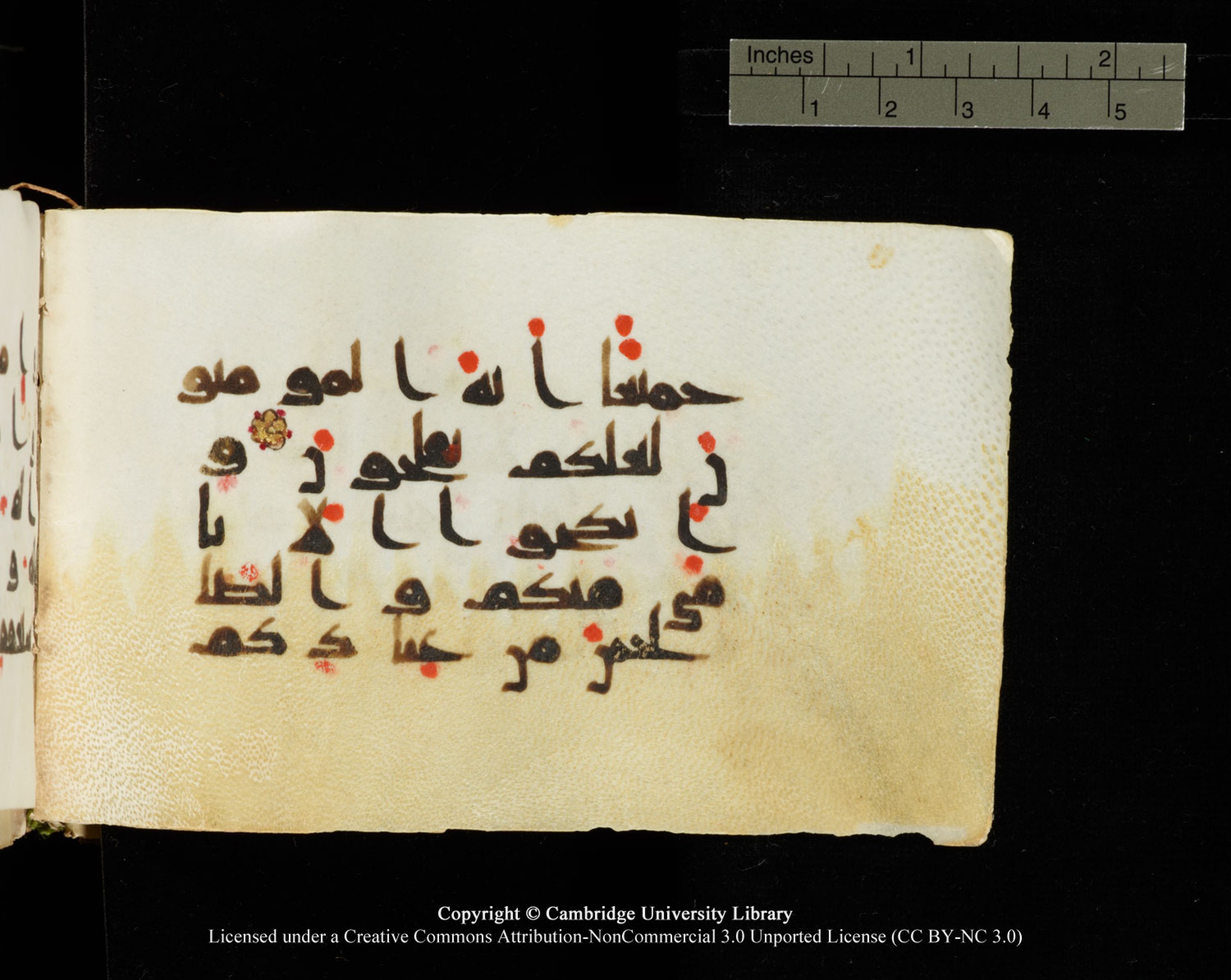 Cambridge University Library MS Add.1138 (Scan 1), in kūfī D.Va script, showing Surah 24:32 from 9th to 10th Century AD found in Sinai Peninsula, currently housed at Cambridge University Library, Cambridge