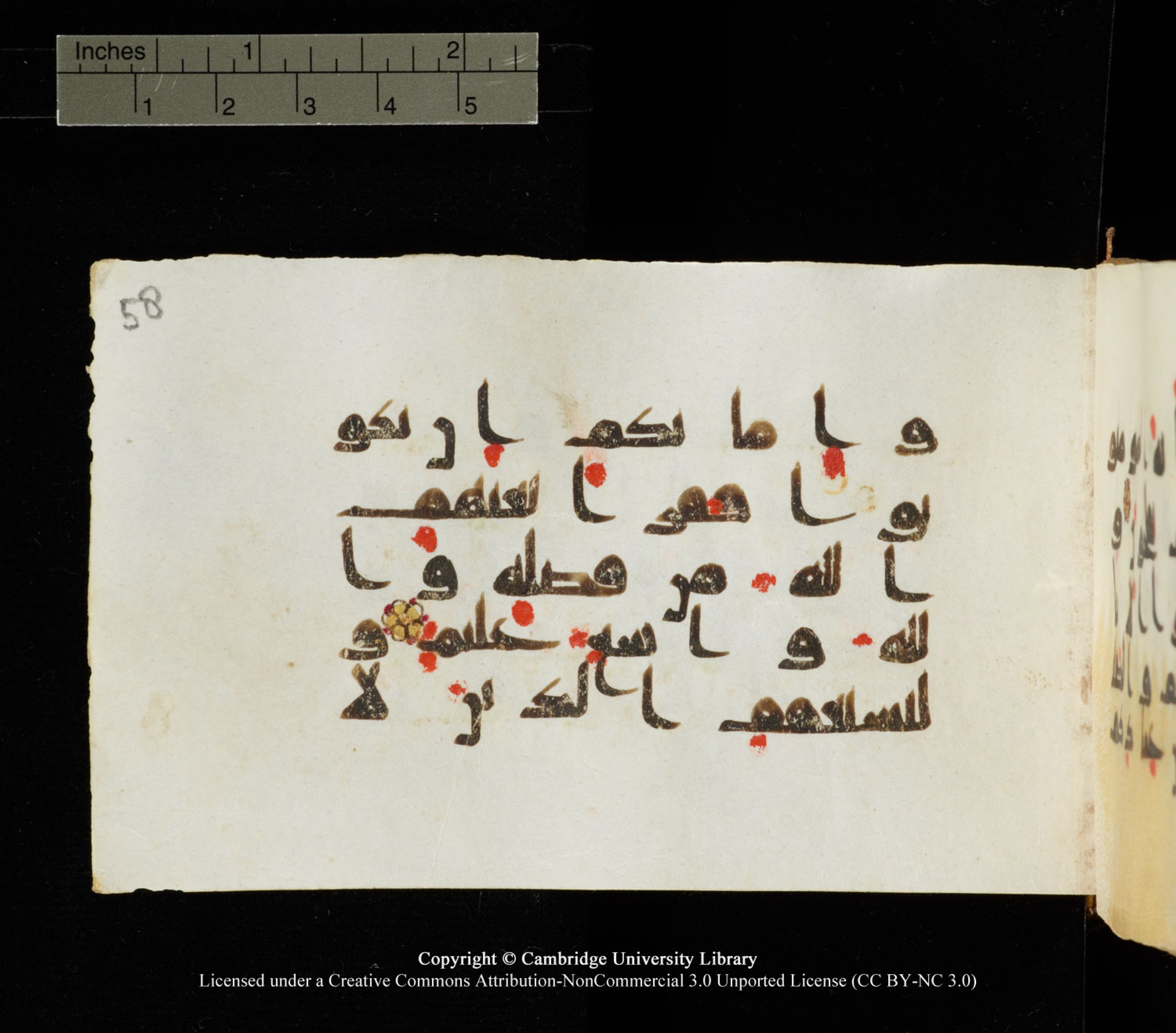 Cambridge University Library MS Add.1138 (Scan 2), in kūfī D.Va script, showing Surah 24:32 from 9th to 10th Century AD found in Sinai Peninsula, currently housed at Cambridge University Library, Cambridge