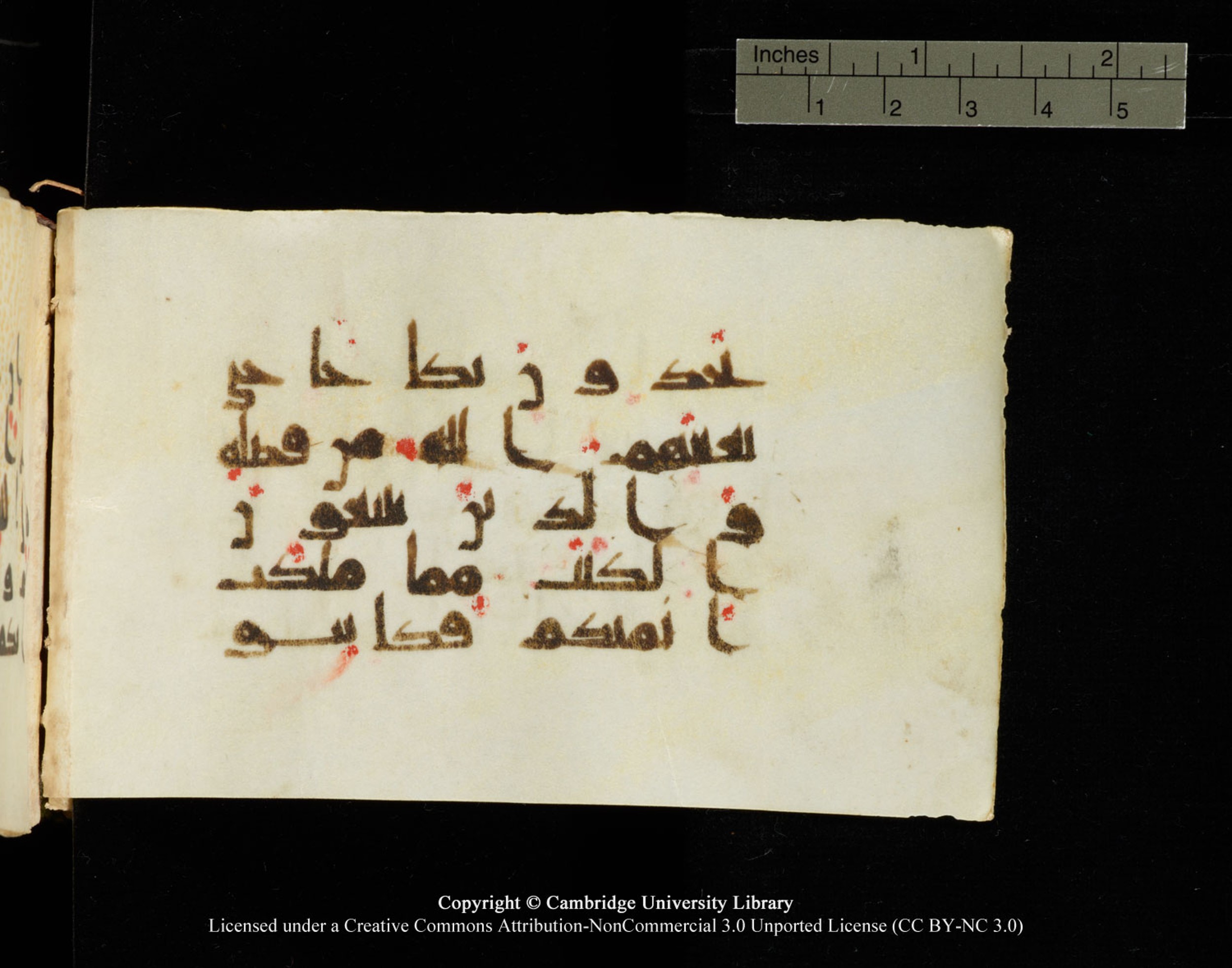 Cambridge University Library MS Add.1138 (Scan 2), in kūfī D.Va script, showing Surah 24:33 from 9th to 10th Century AD found in Sinai Peninsula, currently housed at Cambridge University Library, Cambridge
