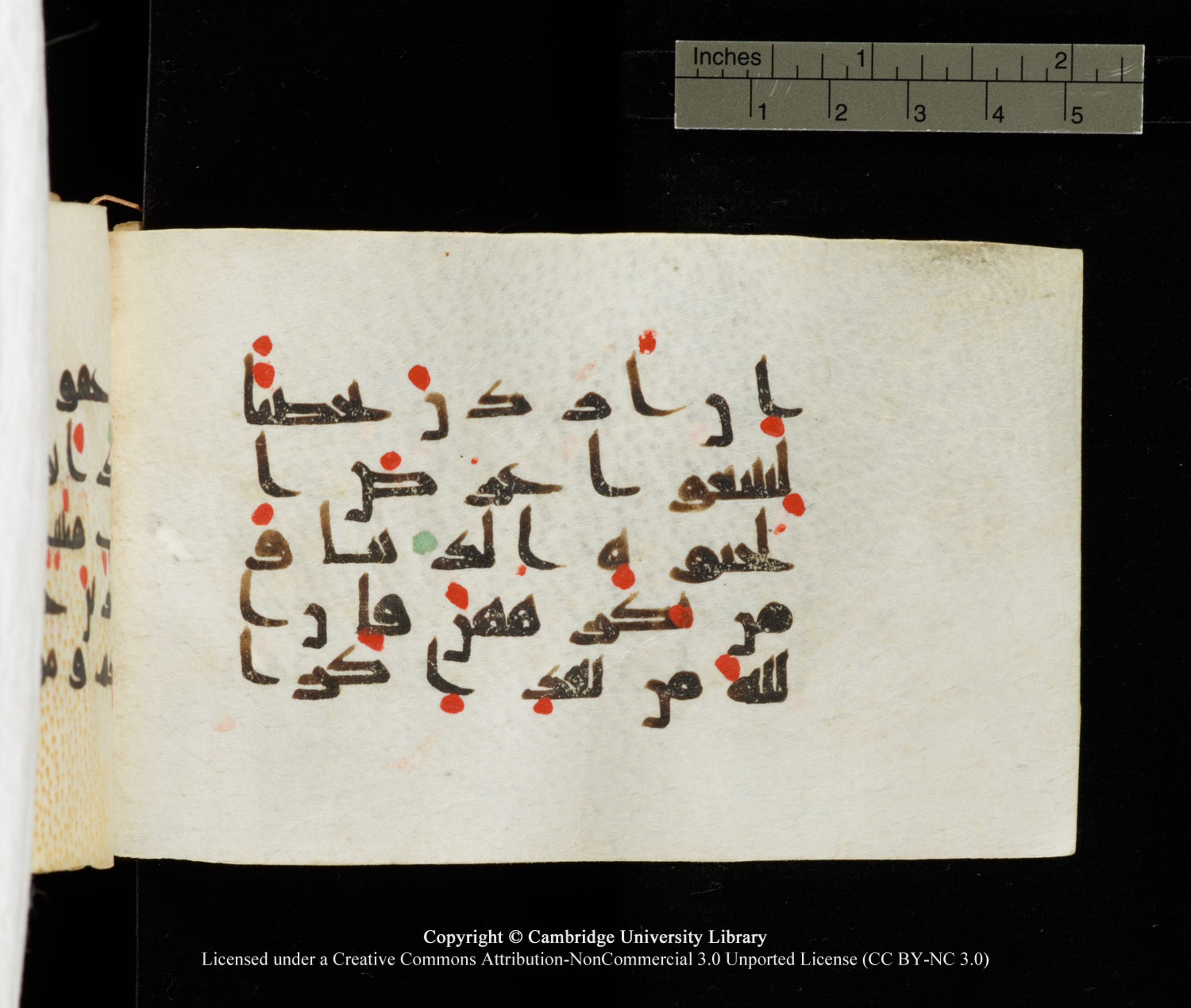 Cambridge University Library MS Add.1138 (Scan 4), in kūfī D.Va script, showing Surah 24:33 from 9th to 10th Century AD found in Sinai Peninsula, currently housed at Cambridge University Library, Cambridge