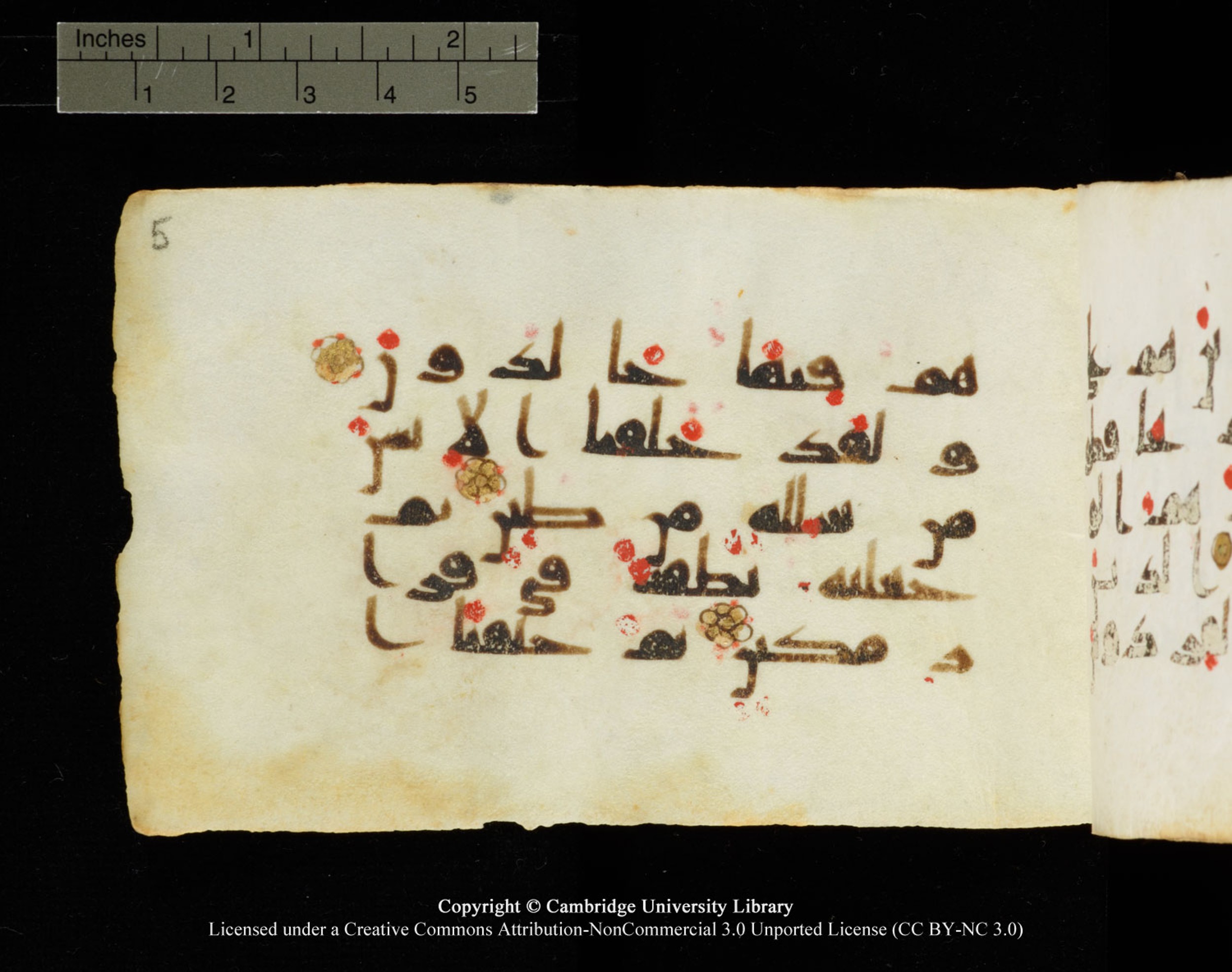 Cambridge University Library MS Add.1138, in kūfī D.Va script, showing Surah 23:13 from 9th to 10th Century AD found in Sinai Peninsula, currently housed at Cambridge University Library, Cambridge