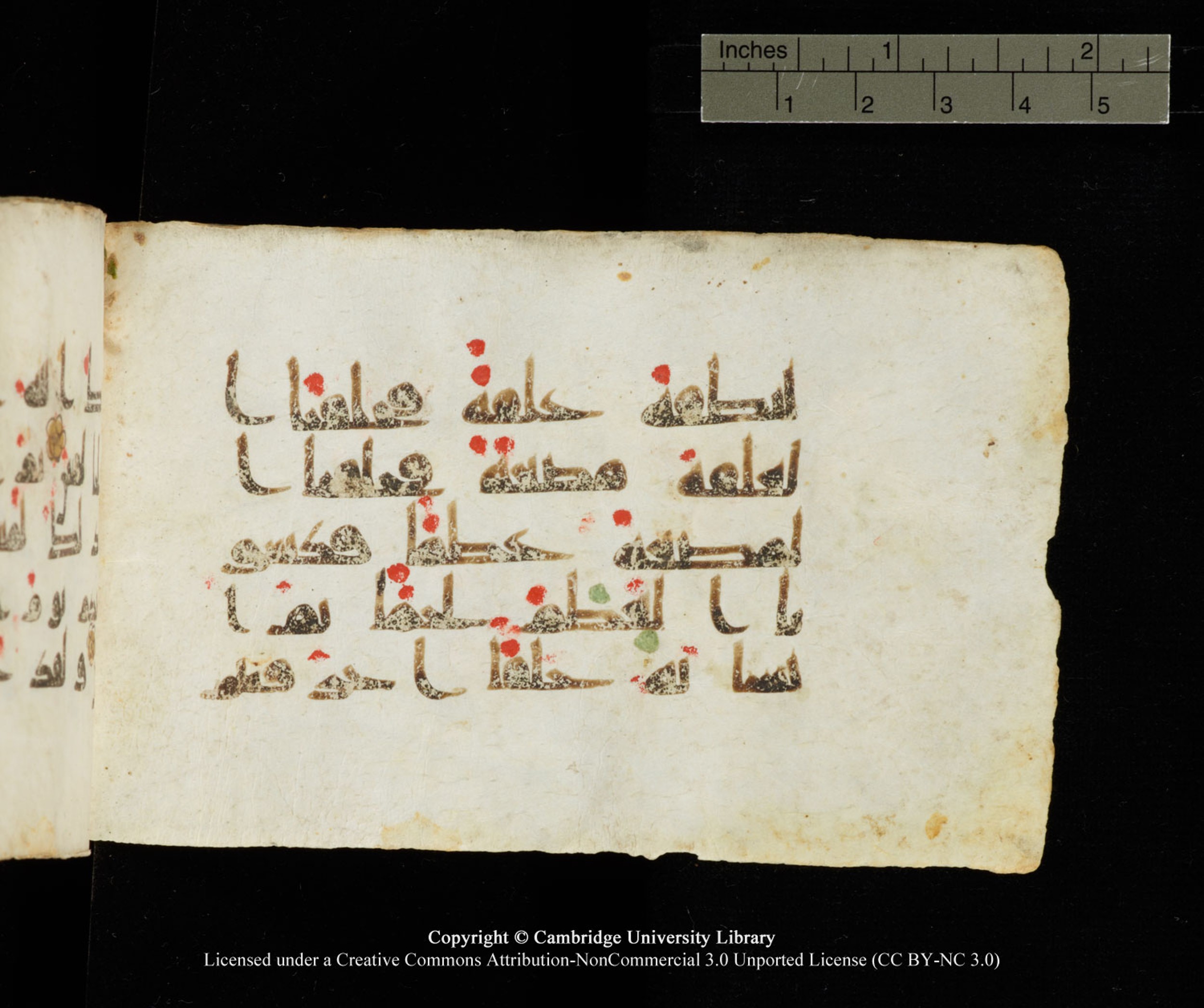 Cambridge University Library MS Add.1138 (Scan 2), in kūfī D.Va script, showing Surah 23:14 from 9th to 10th Century AD found in Sinai Peninsula, currently housed at Cambridge University Library, Cambridge