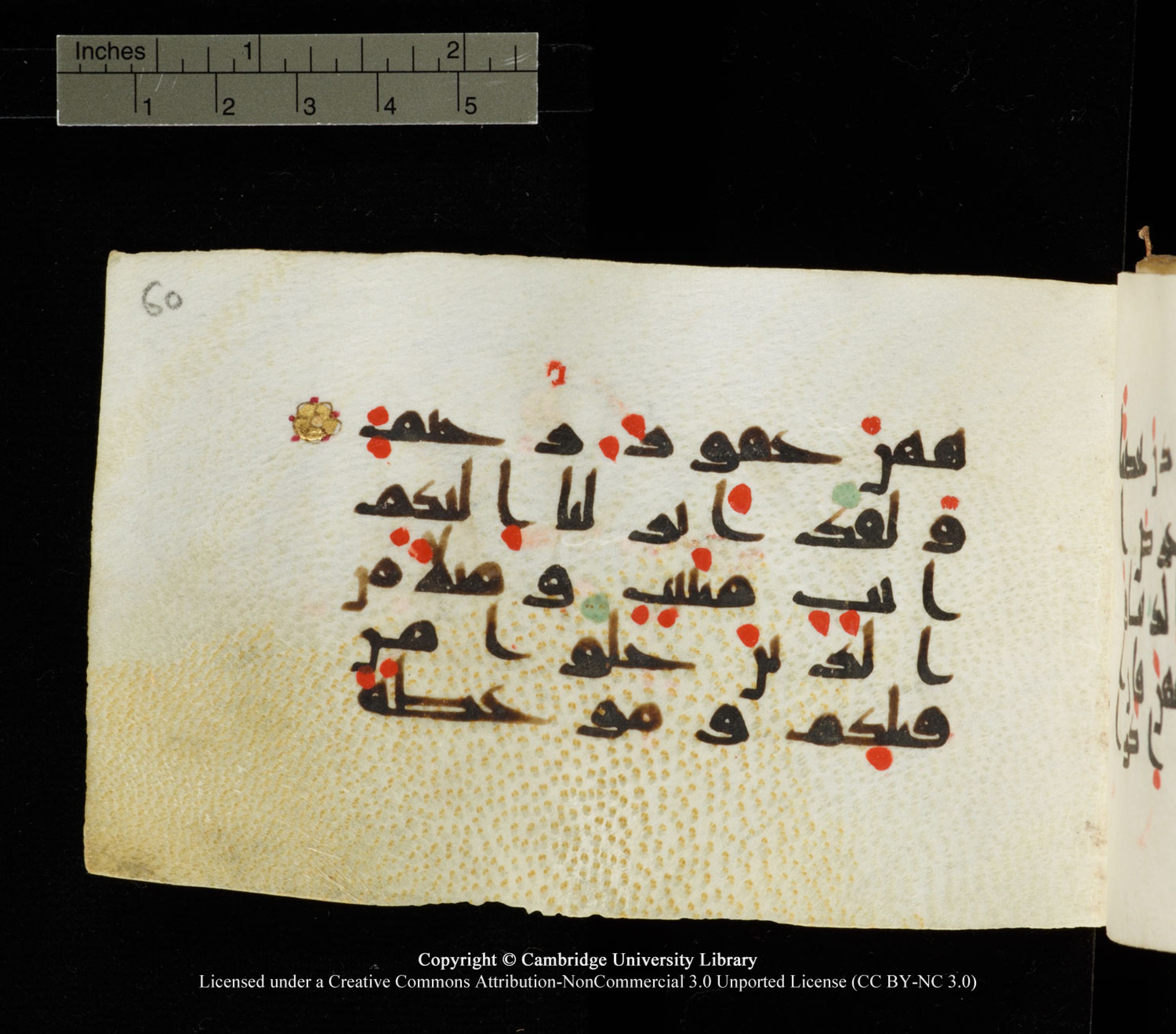 Cambridge University Library MS Add.1138 (Scan 5), in kūfī D.Va script, showing Surah 24:33 from 9th to 10th Century AD found in Sinai Peninsula, currently housed at Cambridge University Library, Cambridge