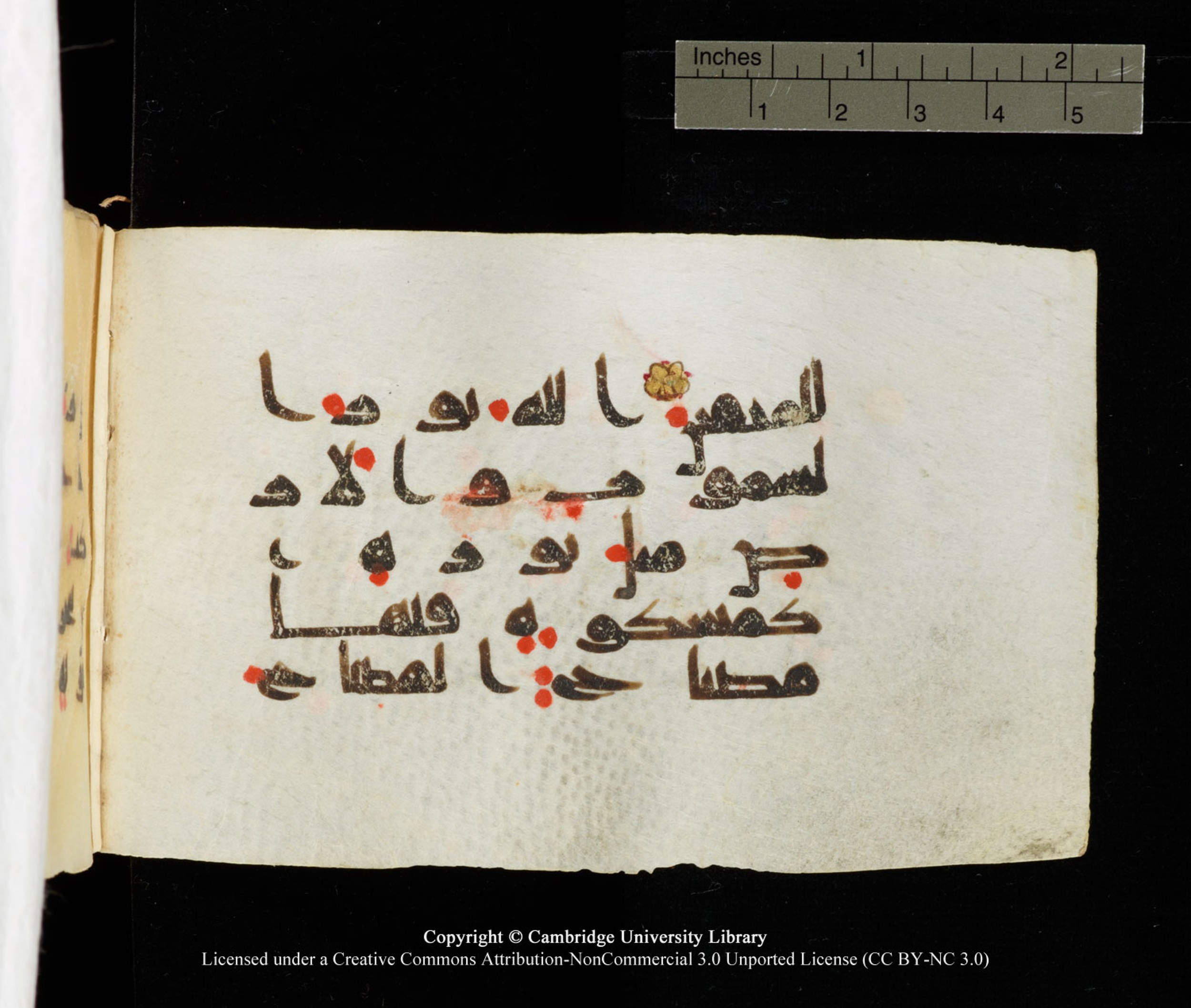 Cambridge University Library MS Add.1138 (Scan 2), in kūfī D.Va script, showing Surah 24:34 from 9th to 10th Century AD found in Sinai Peninsula, currently housed at Cambridge University Library, Cambridge