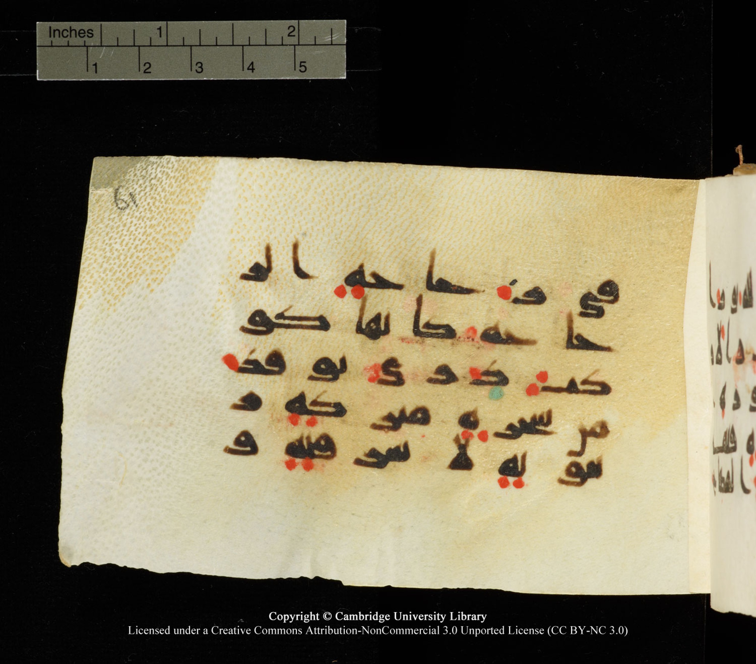 Cambridge University Library MS Add.1138 (Scan 2), in kūfī D.Va script, showing Surah 24:35 from 9th to 10th Century AD found in Sinai Peninsula, currently housed at Cambridge University Library, Cambridge