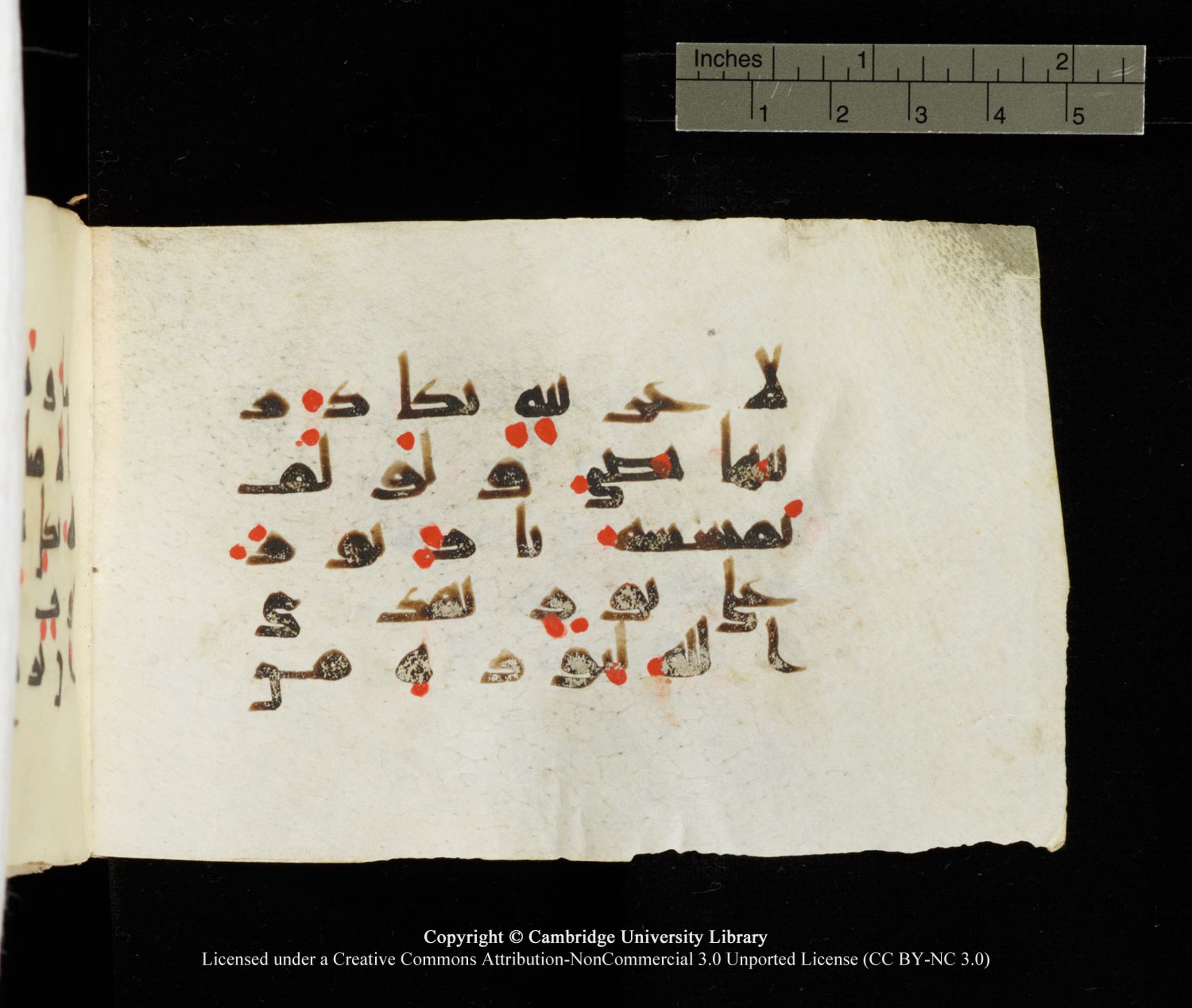 Cambridge University Library MS Add.1138 (Scan 3), in kūfī D.Va script, showing Surah 24:35 from 9th to 10th Century AD found in Sinai Peninsula, currently housed at Cambridge University Library, Cambridge