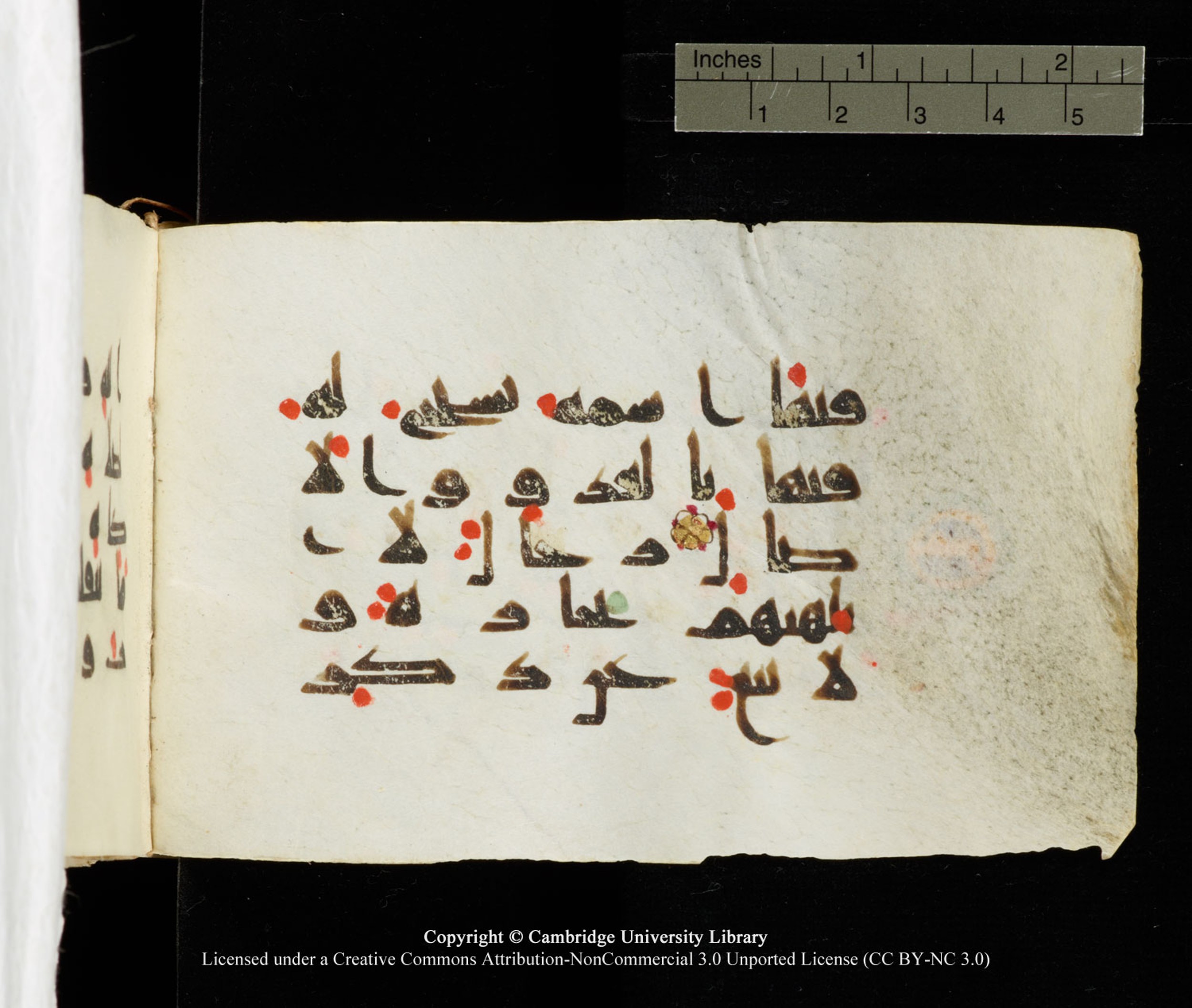 Cambridge University Library MS Add.1138 (Scan 2), in kūfī D.Va script, showing Surah 24:36 from 9th to 10th Century AD found in Sinai Peninsula, currently housed at Cambridge University Library, Cambridge