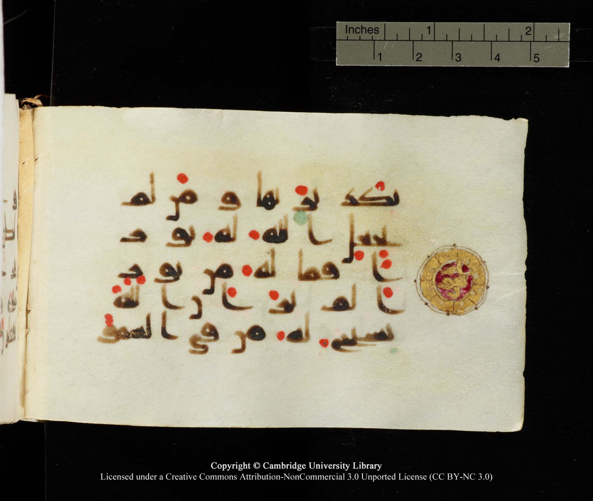 Cambridge University Library MS Add.1138 (Scan 1), in kūfī D.Va script, showing Surah 24:41 from 9th to 10th Century AD found in Sinai Peninsula, currently housed at Cambridge University Library, Cambridge