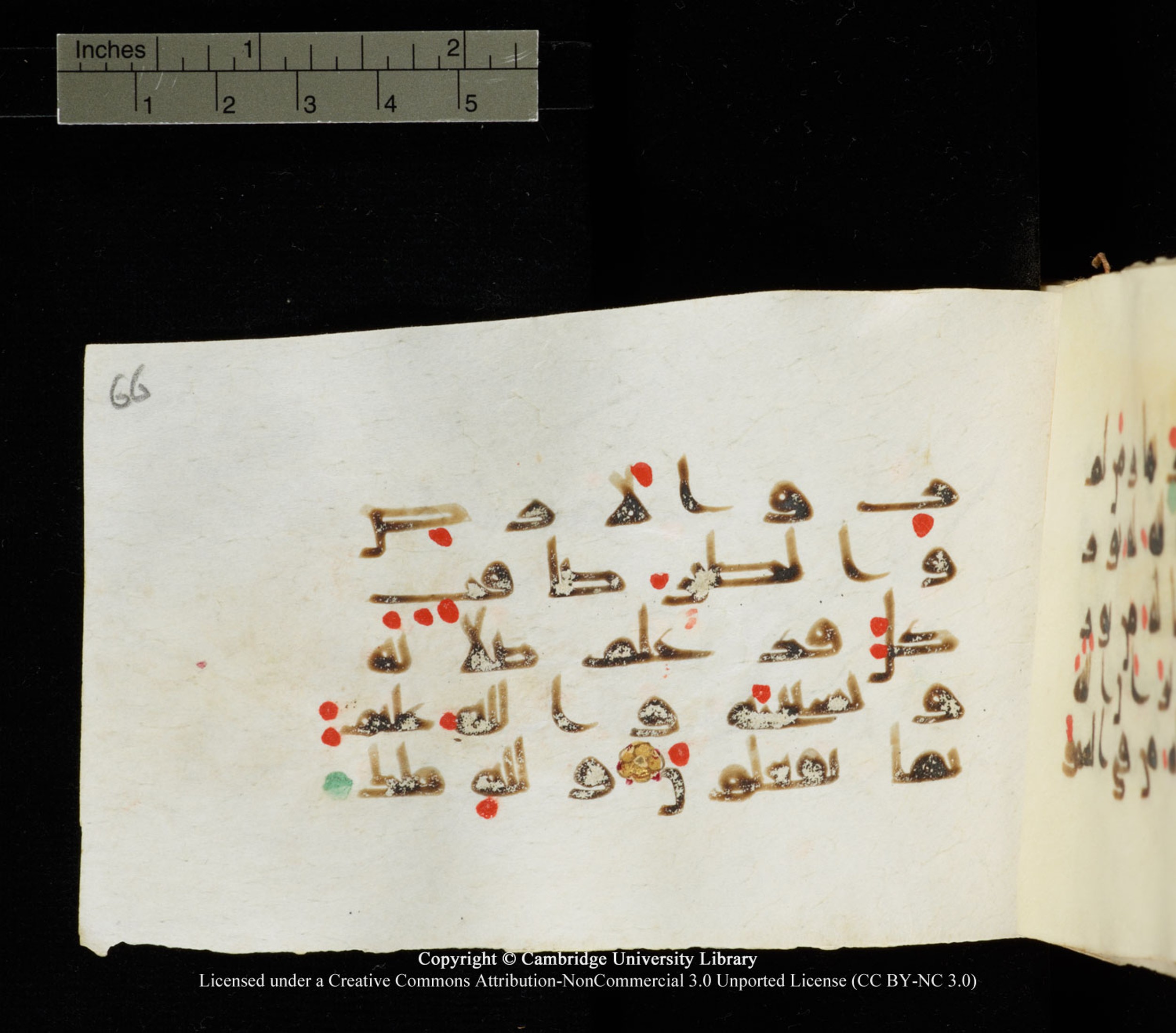 Cambridge University Library MS Add.1138 (Scan 2), in kūfī D.Va script, showing Surah 24:41 from 9th to 10th Century AD found in Sinai Peninsula, currently housed at Cambridge University Library, Cambridge