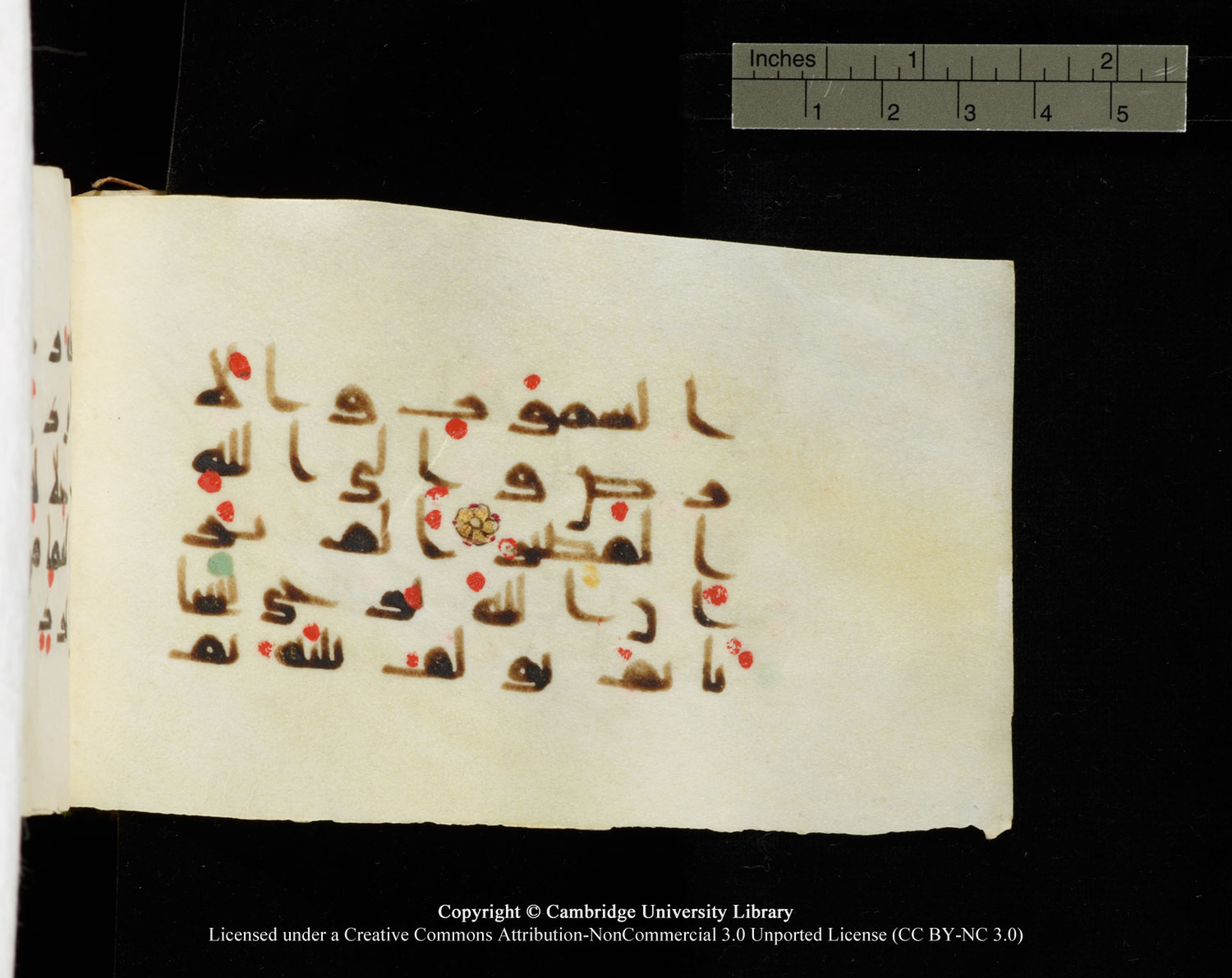 Cambridge University Library MS Add.1138 (Scan 2), in kūfī D.Va script, showing Surah 24:42 from 9th to 10th Century AD found in Sinai Peninsula, currently housed at Cambridge University Library, Cambridge