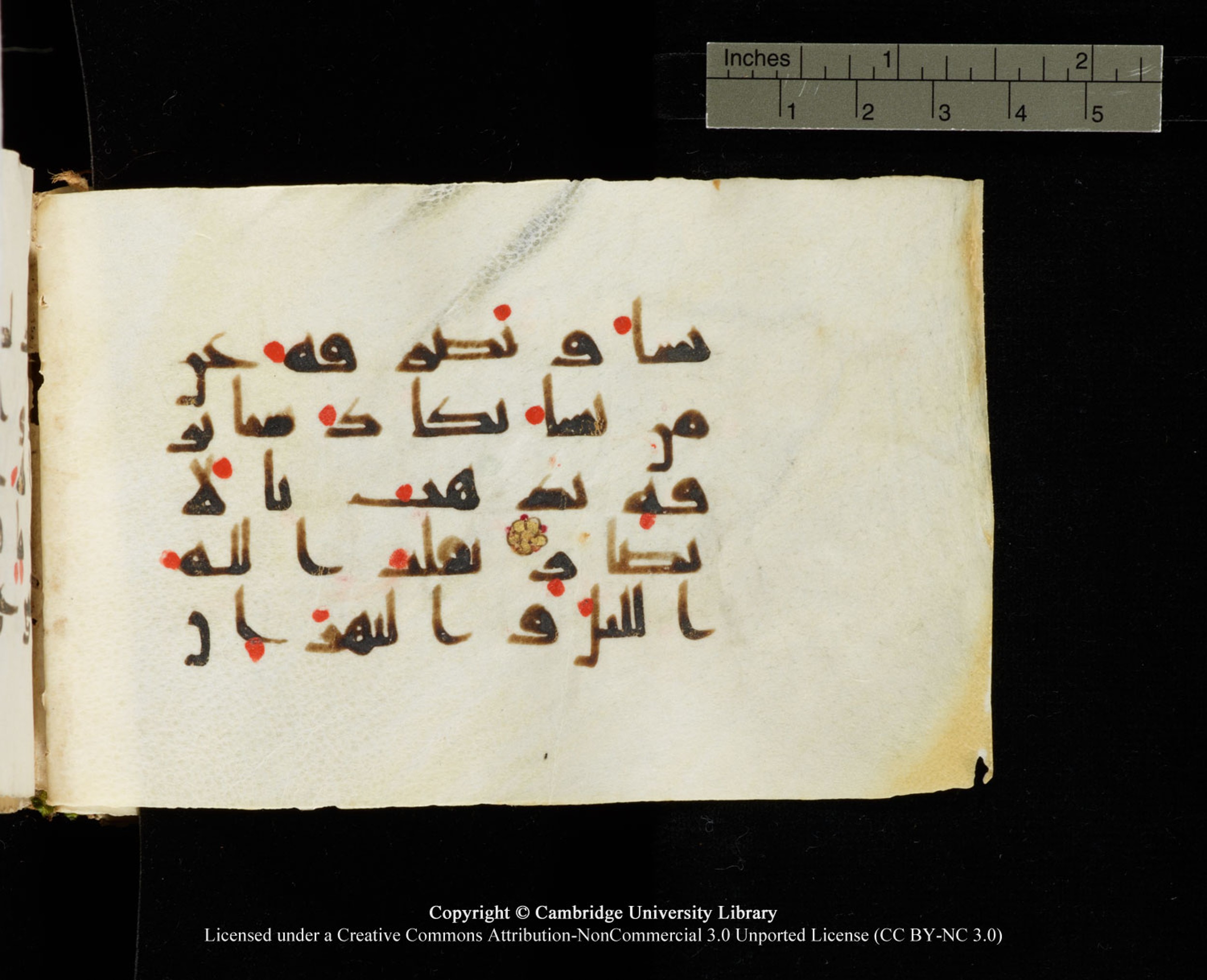 Cambridge University Library MS Add.1138 (Scan 1), in kūfī D.Va script, showing Surah 24:44 from 9th to 10th Century AD found in Sinai Peninsula, currently housed at Cambridge University Library, Cambridge
